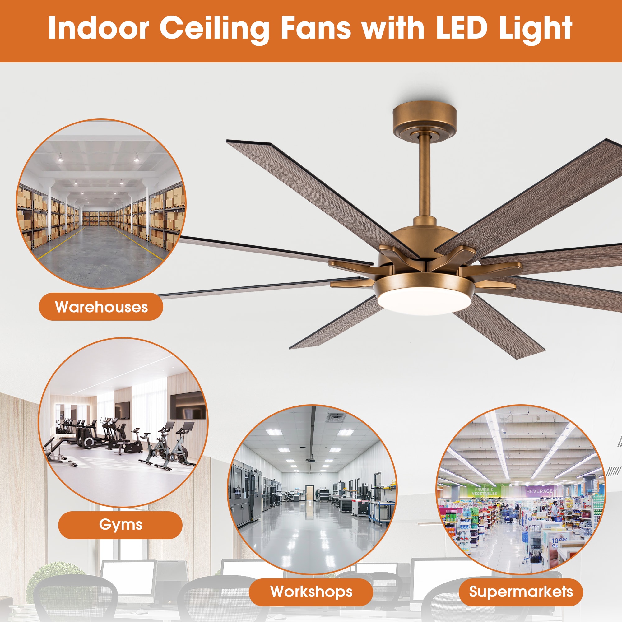 Parrot Uncle F8261110V Ceiling-Fans - View #11