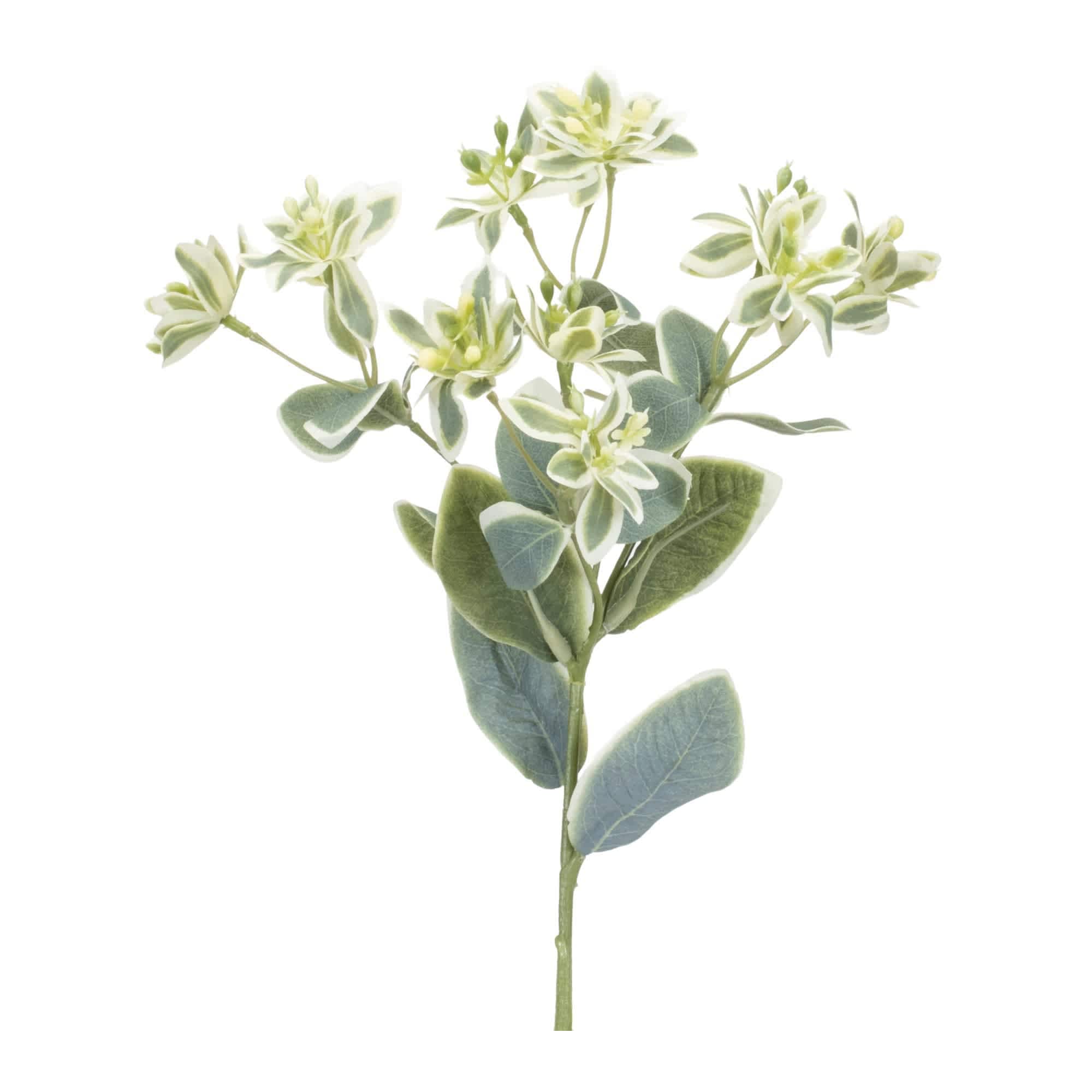 Melrose International 92583DS Euphorbia Spray 18.5H Polyester