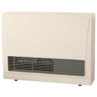 16700-BTU Wall-Mount Indoor Natural Gas Convection Heater