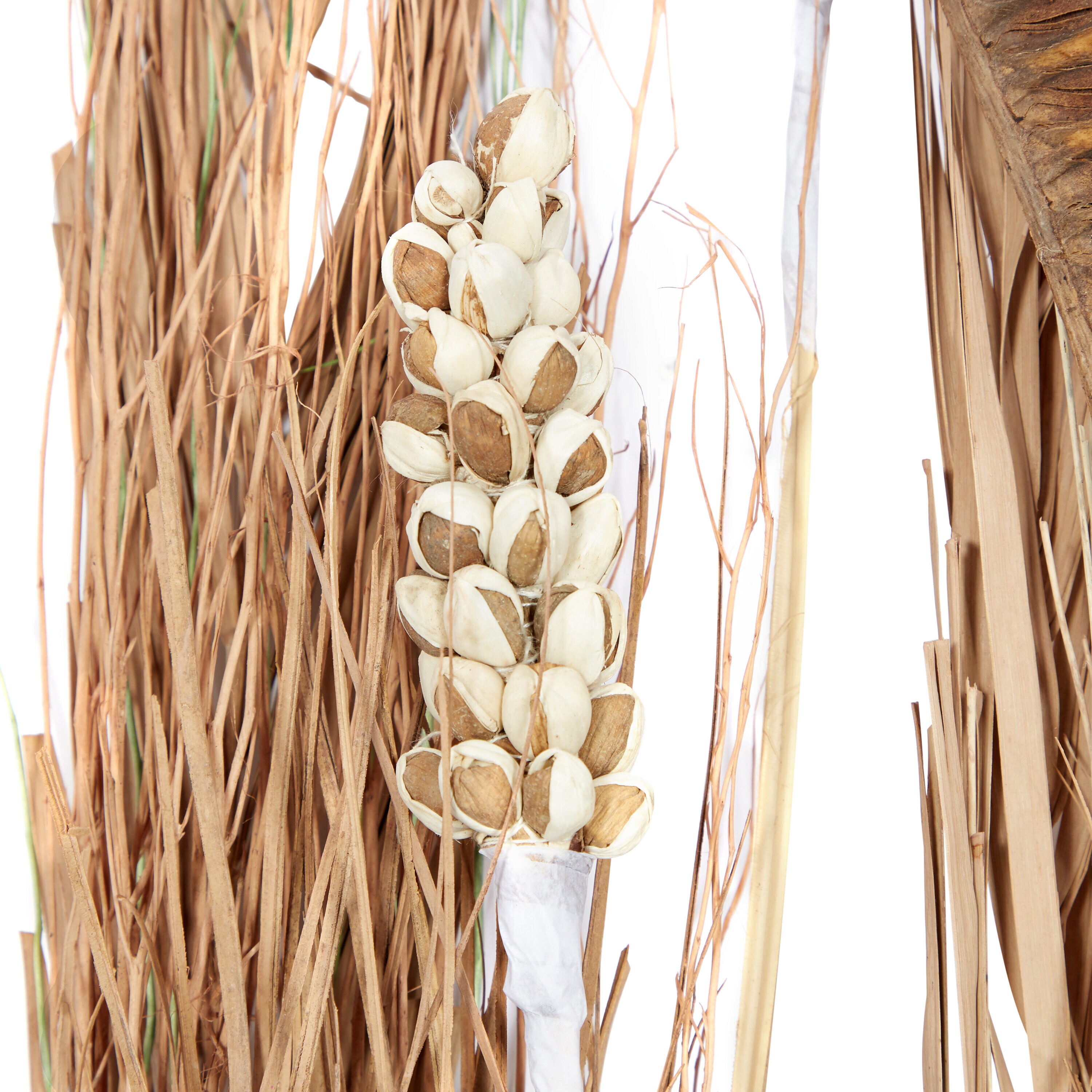 57" Tall Brown Dried Pampas Grass Floral Arrangement with Lights