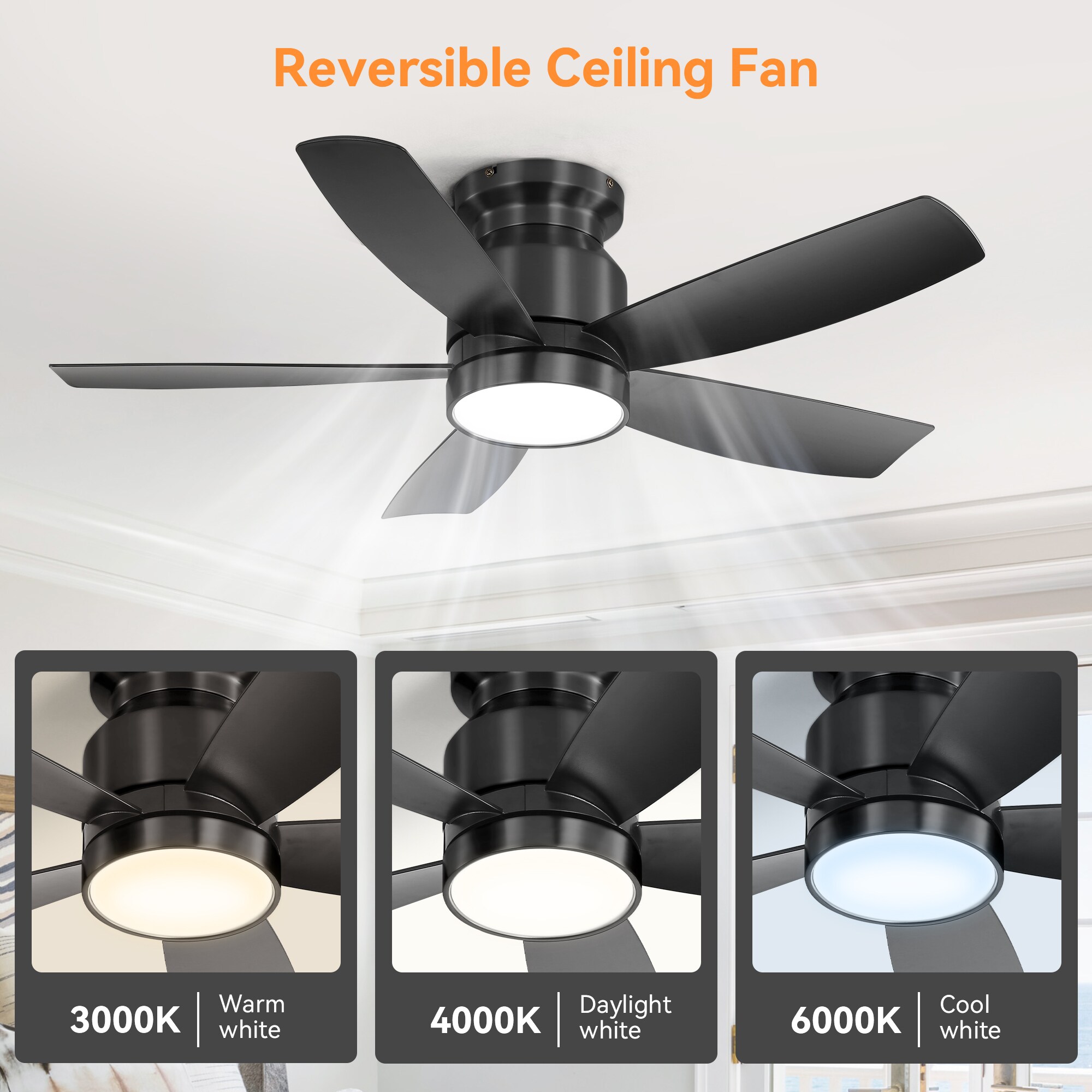 Dexmalle W882P293991 Ceiling-Fans - View #2