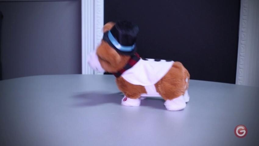 A thumbnail for the video