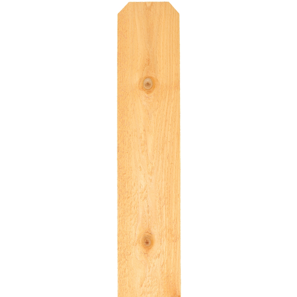  63021 5/8-in x 5-1/2-in x 5-ft Western red cedar Dog ear Fence Picket