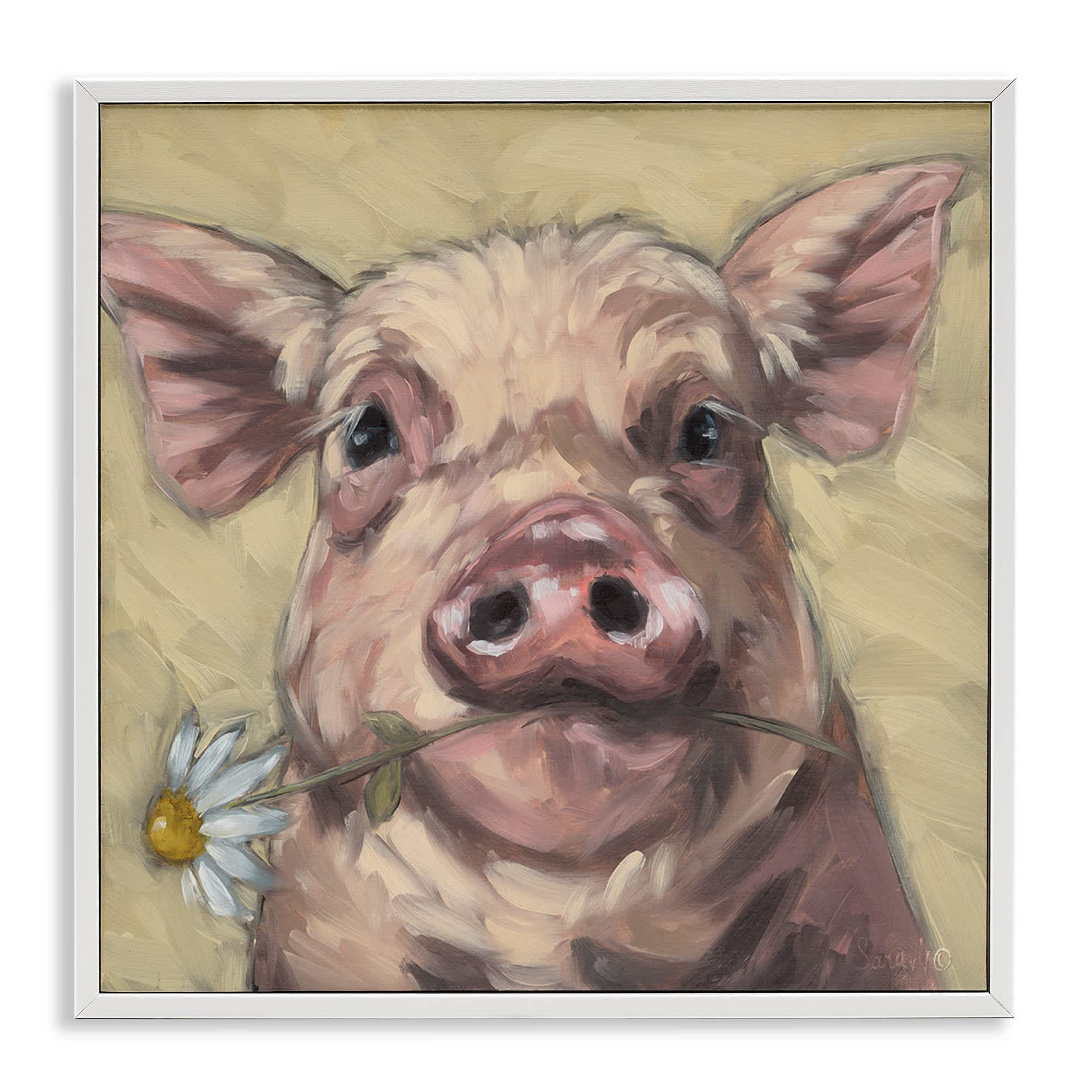 Stupell Industries BS-678-WFR-17X17 Pig Holding Daisy Sprig White Framed Giclee Art By Sara G. Designs 17 x 17