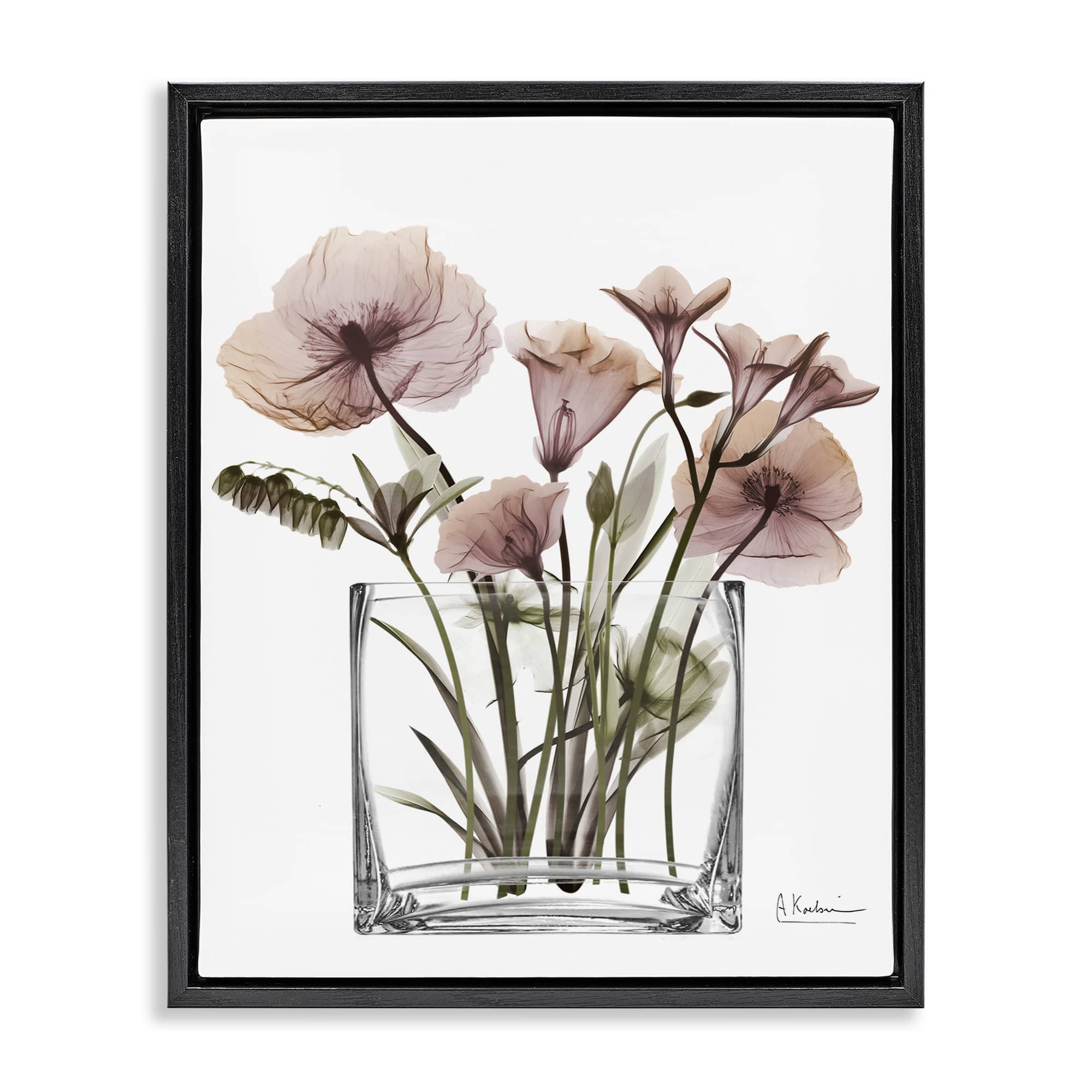 Stupell Industries BS-020-FFB-16X20 Modern Translucent Flowers Black Framed Floater Canvas Wall Art By Albert Koetsier 17 x 21