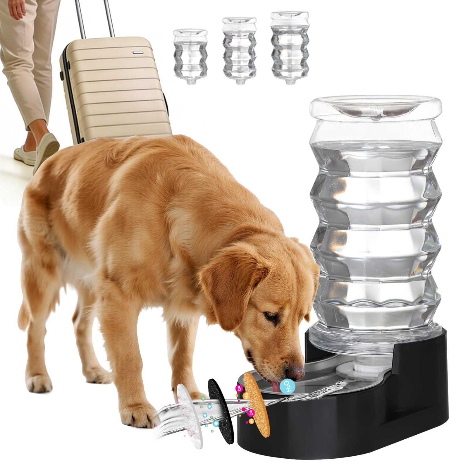 AOIZGMY 8L Gravity Dog Water Bowl Dispenser Large Stainless Steel Automatic Feeder Triple Filter Spill Resistant Easy Clean Stable Base for