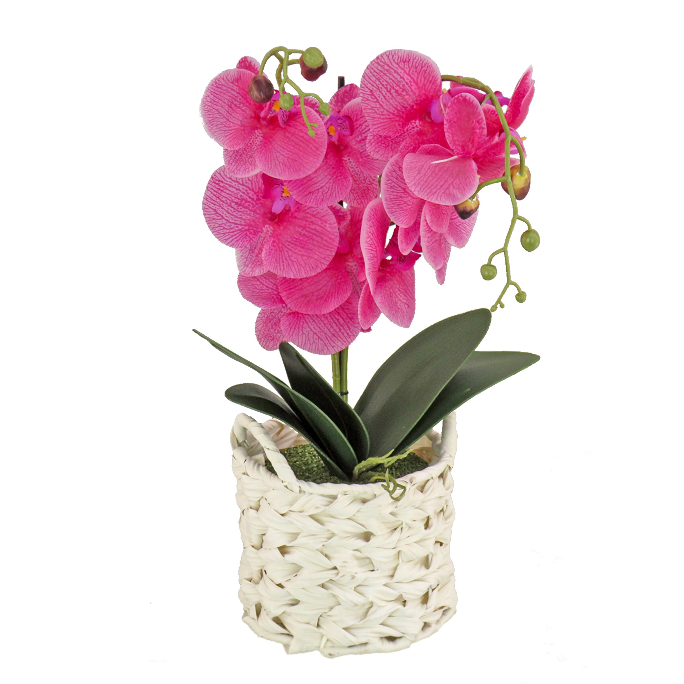 National Tree Company MT81-PH0254PPR 21-in H Spring Hanging Decoration