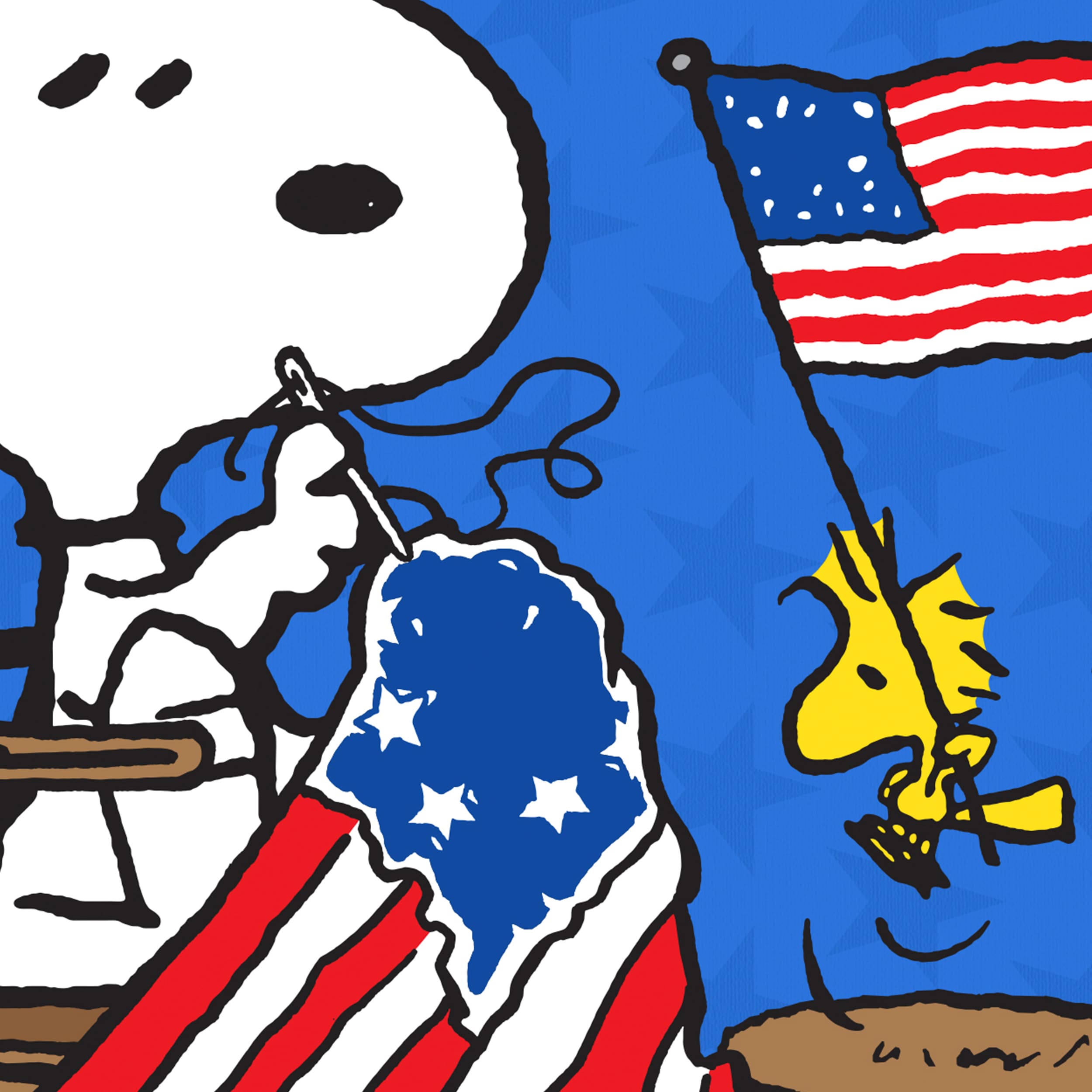 Peanuts 10-1317-51-01 Decorative-Banner-Flags - View #4