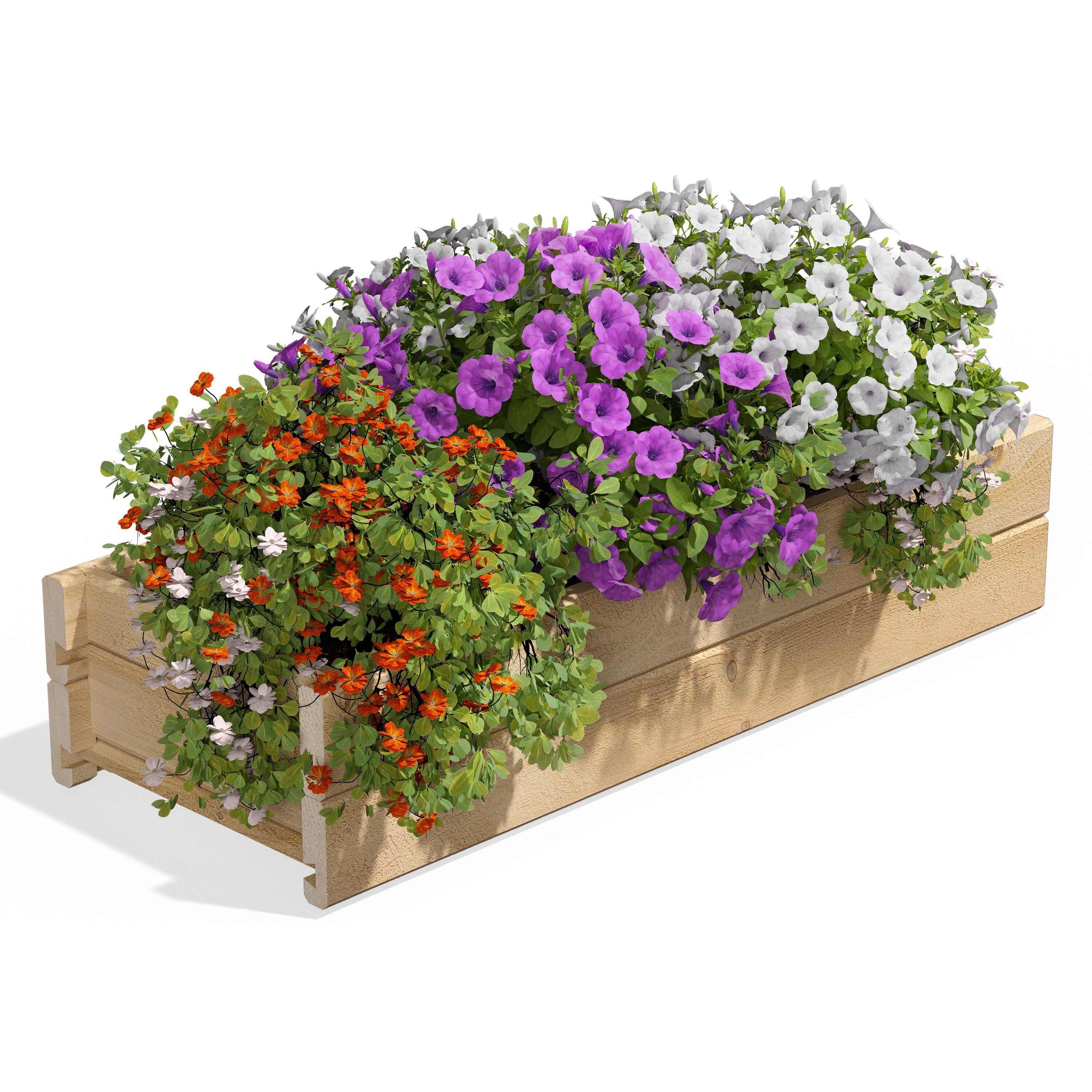 Greenes Fence RCPB1132H2WB Rectangle 32-Inches W Large Off-white Cedar Outdoor Wall planter with Drainage Holes
