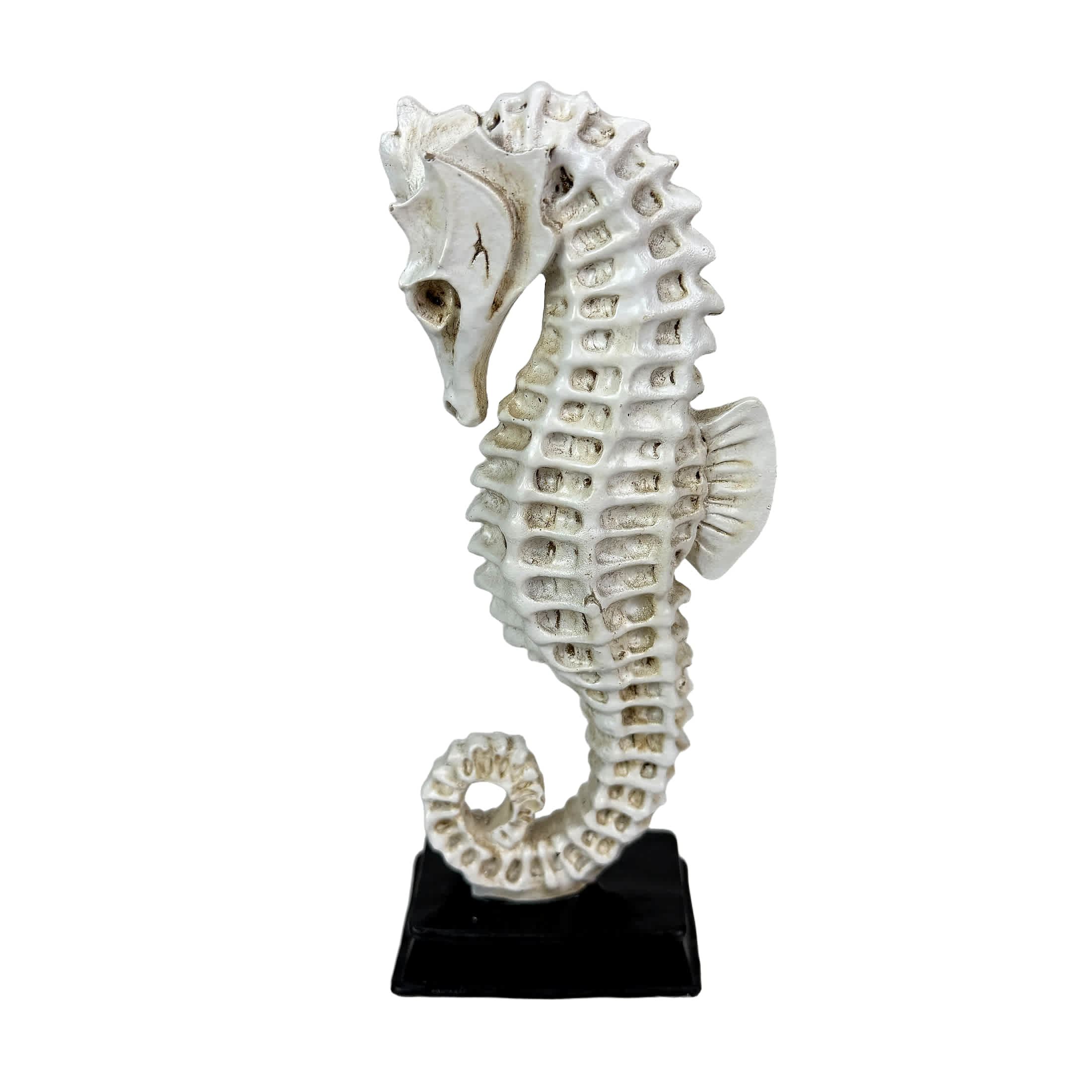 Fancy That Gift & Decor HAL87185 Decorative-Accessories - View #8