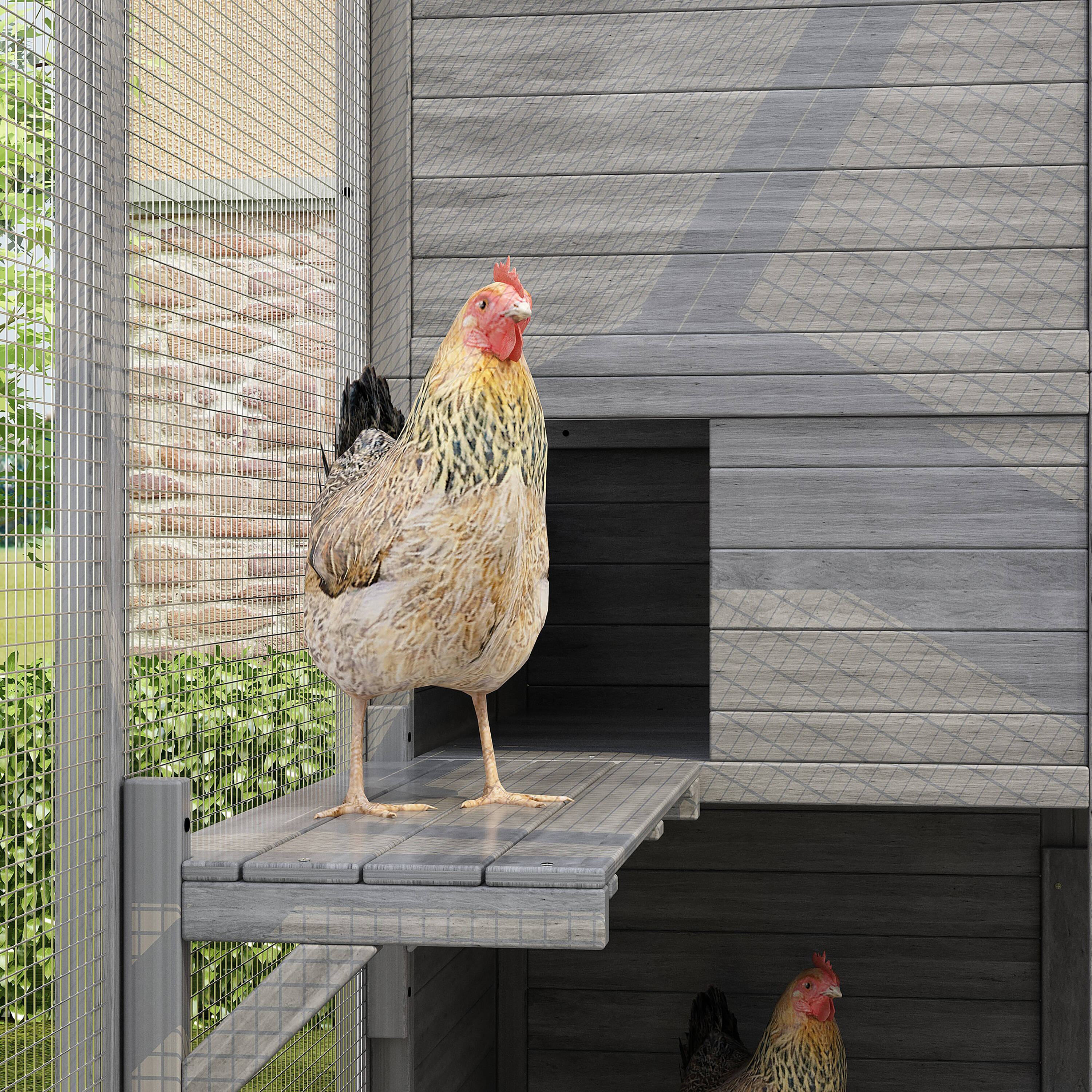 MIDHAM KF150212-01+02 Chicken-Coops-Rabbit-Hutches - View #10