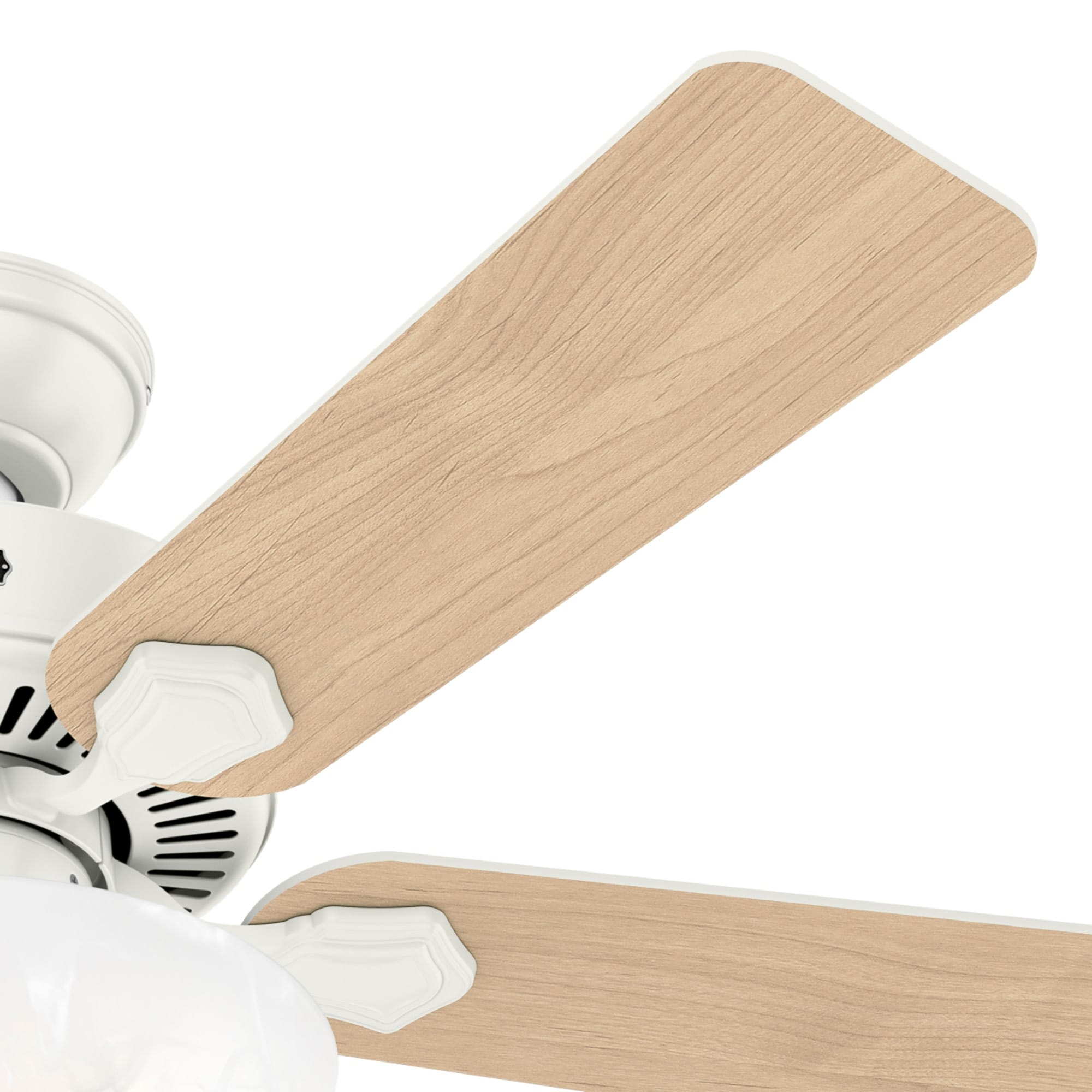 Hunter 52778 Ceiling-Fans - View #9