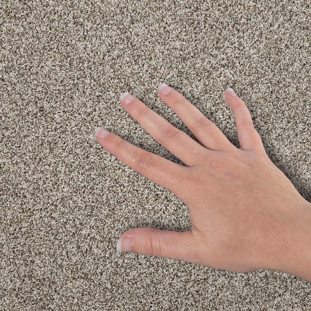 STAINMASTER SS040-L007-S0808 Carpet-Samples - View #4