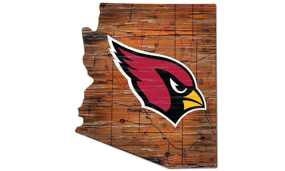 Arizona Cardinals Dog in Team Jersey 12x16