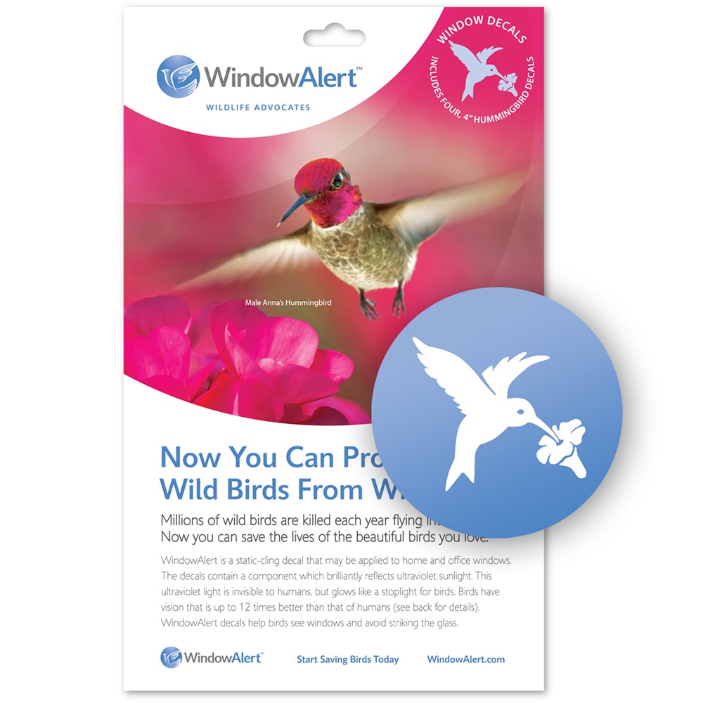 WindowAlert HUMMINGBIRD DECALS Frosted/Opaque Screen