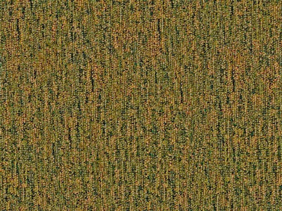  B6988-09-1500-AB Cadet 20 Spring Bouquet Green 20-oz sq yard Olefin Berber/Loop Indoor Carpet