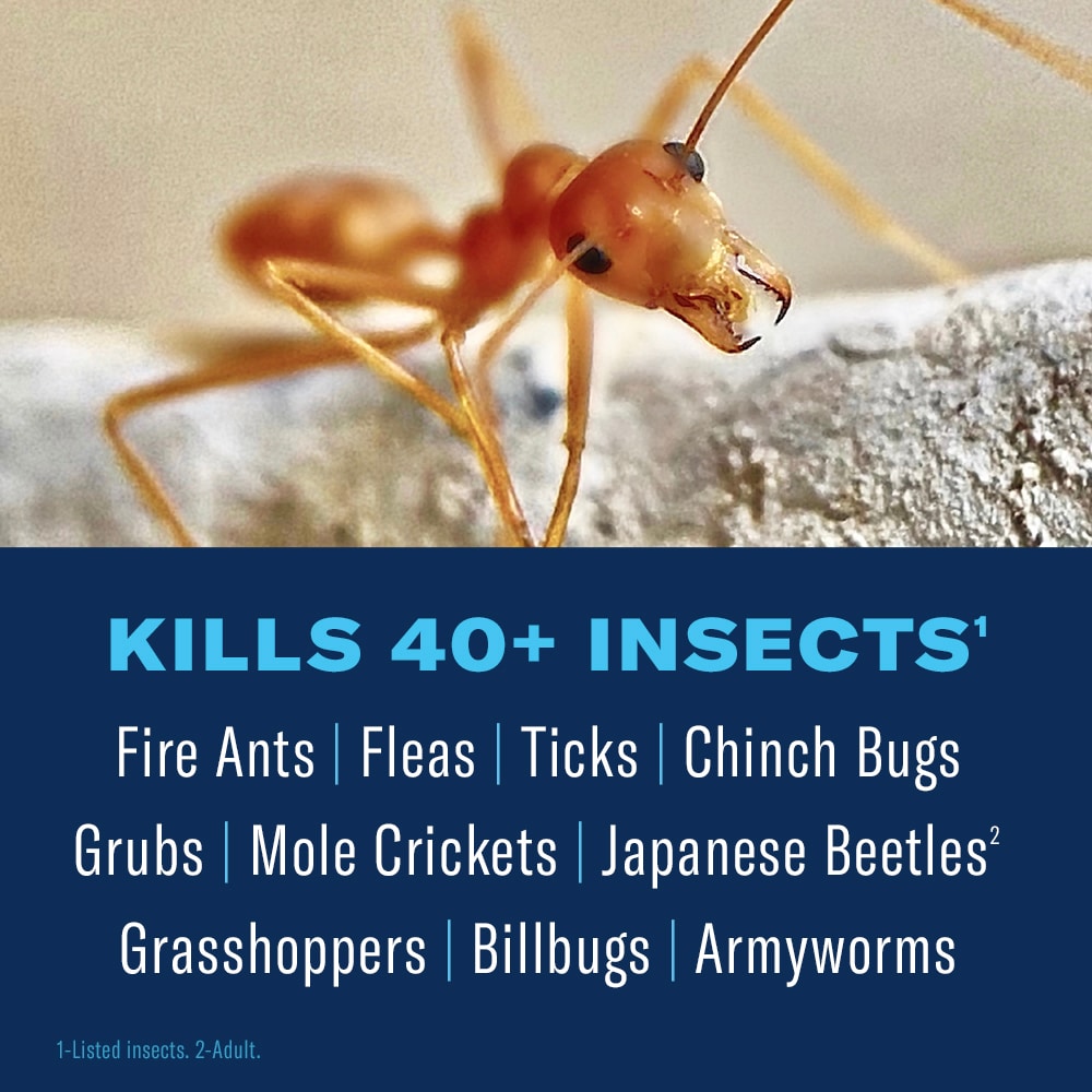 BioAdvanced 20-lb 24 Hour Lawn Insect Fire Ant Killer | 700910