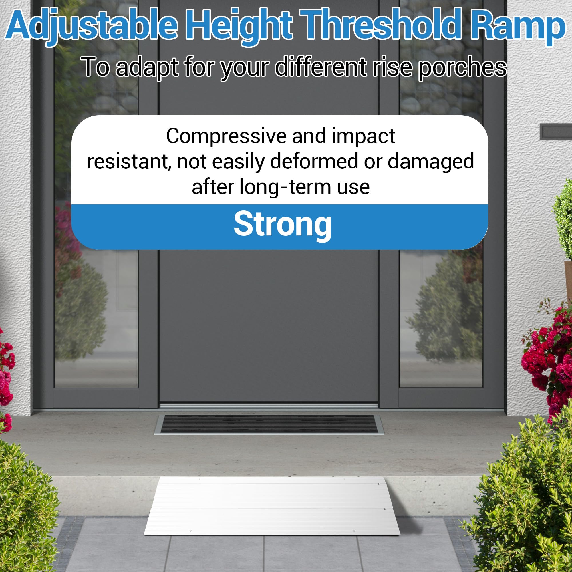 DEXSO ENCOREPHOBA8561 Loading-Ramps - View #6