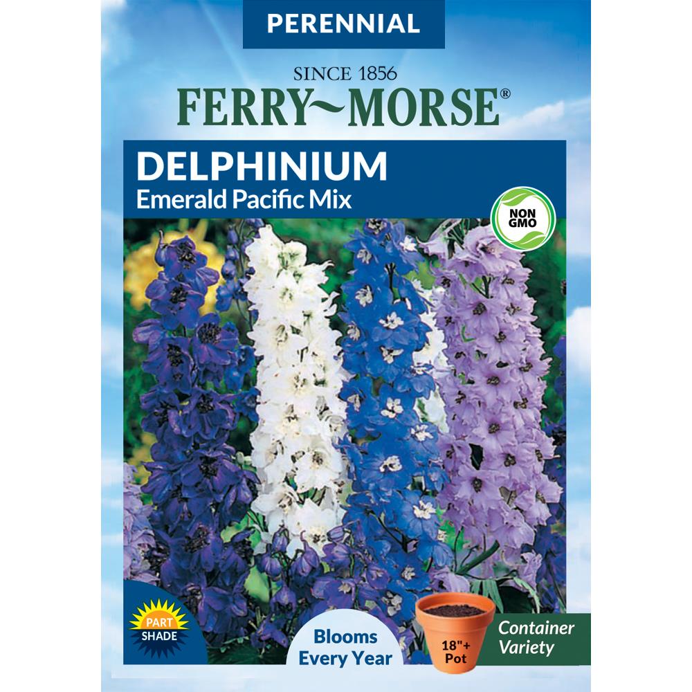 Ferry-Morse 463955.199.905127 Delphinium Emerald Pacific Mix Flower Seeds (Seed Packet) 100-mg