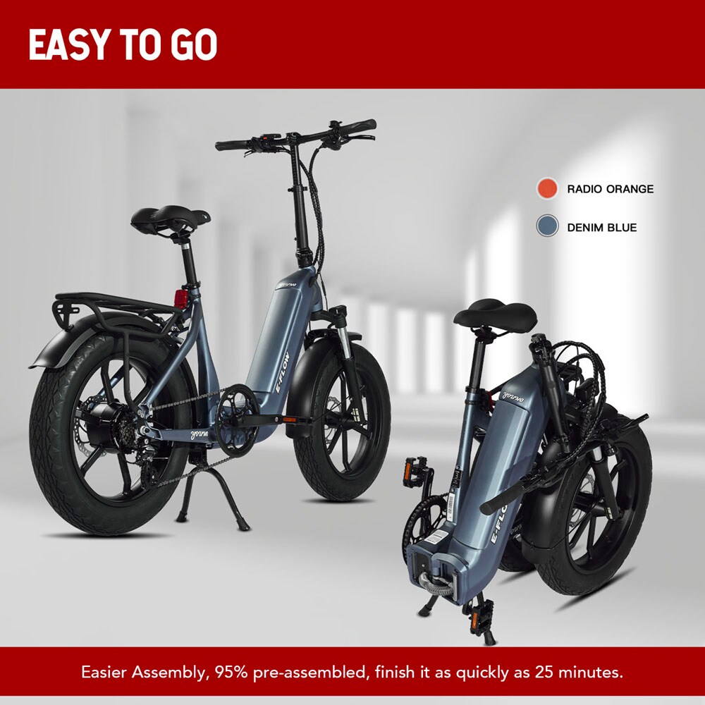 Young Electric 12803020DB bikes - View #4