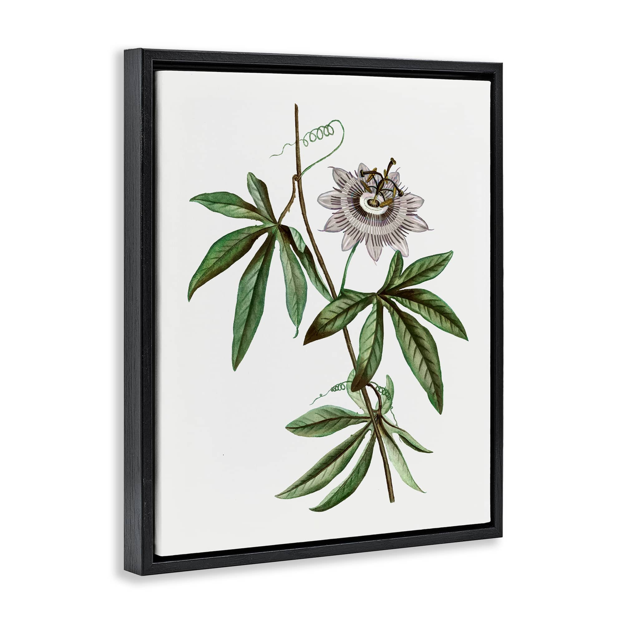 Stupell Industries BS-205-FFB-16X20 Wall-Art - View #2