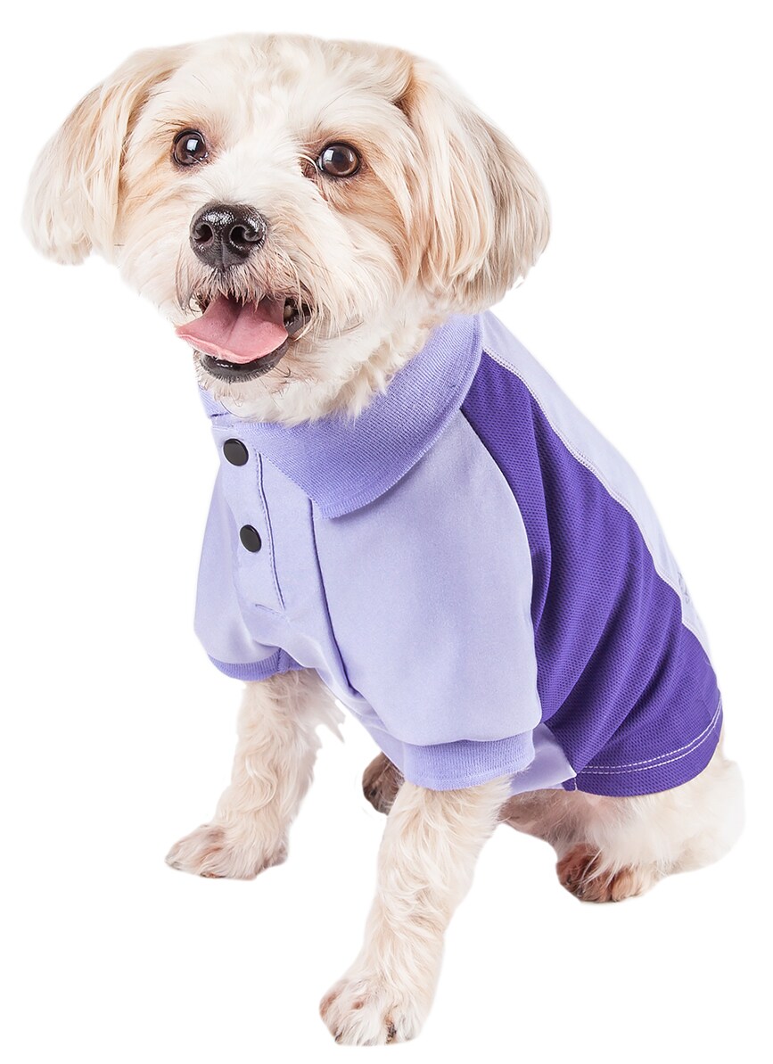 Pet Life Purple Dog/Cat Shirt Extra Large PLHL1PLXL at Lowes.com