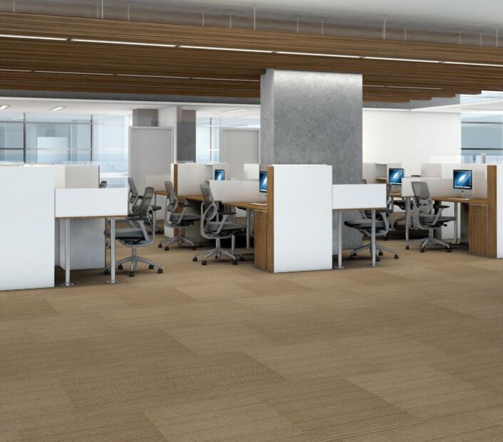 Shaw 7L80700205 Carpet-Tile - View #11