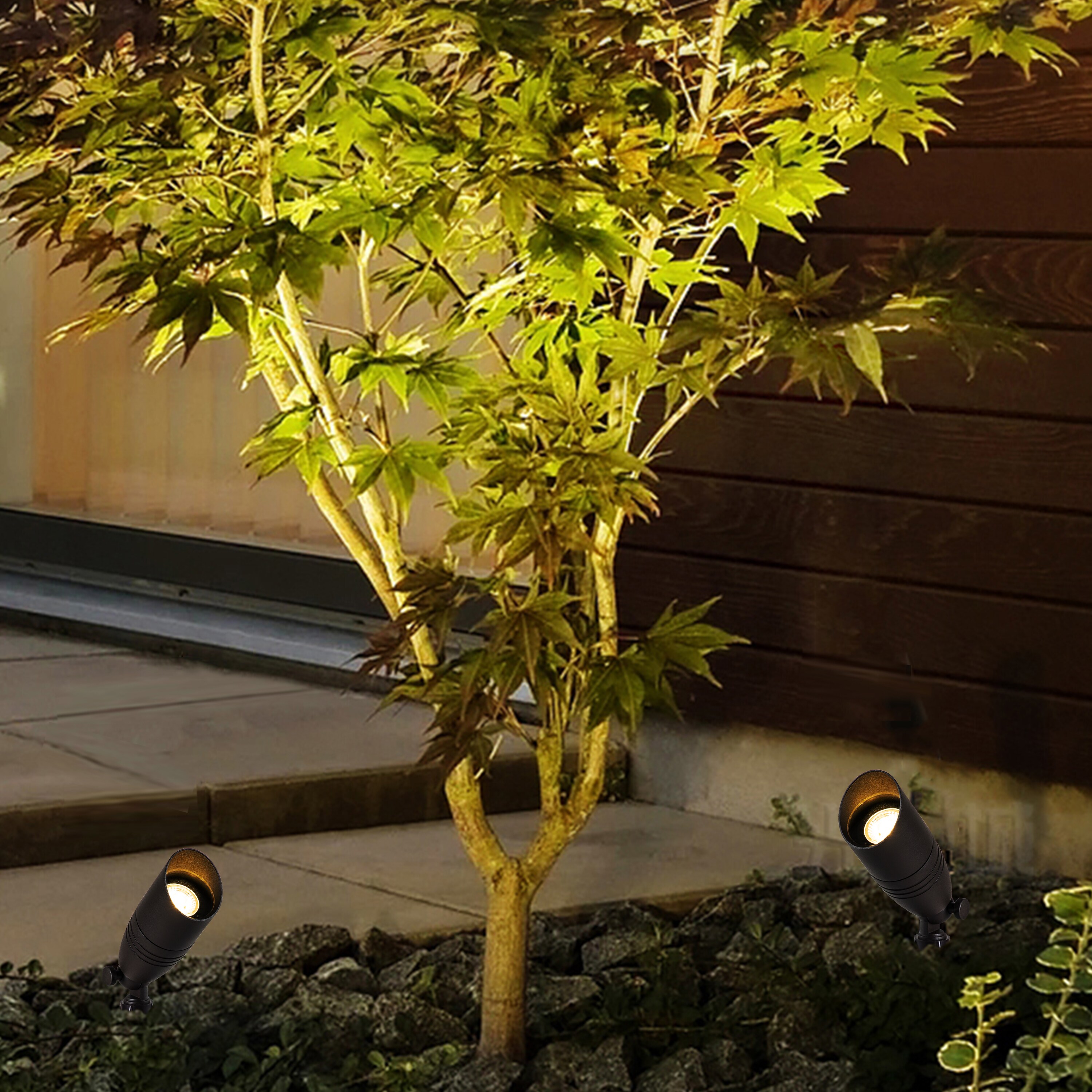 C Cattleya LCA2302-8L Path-Lights - View #2