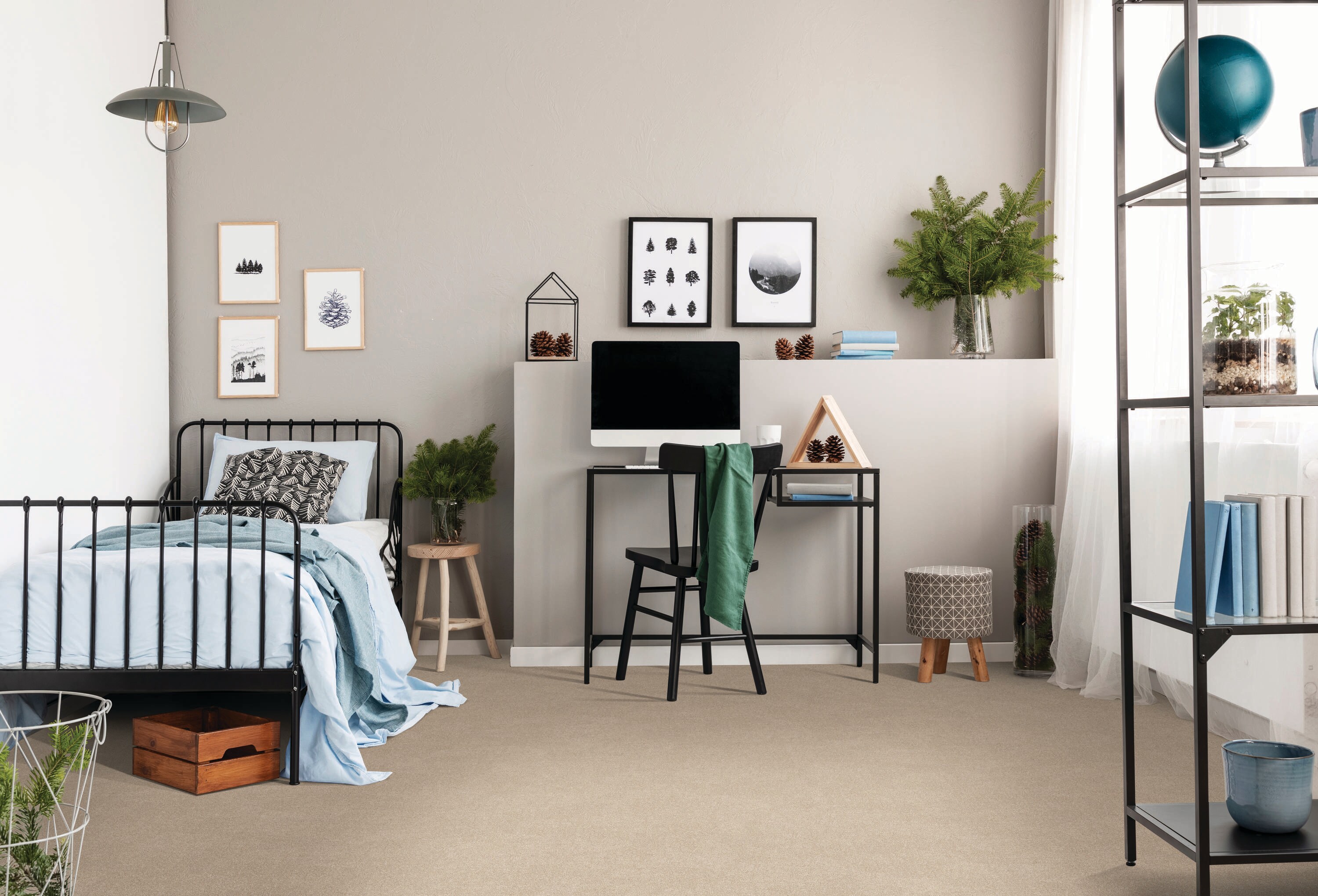 STAINMASTER LU483-9513 Carpet-Samples - View #3