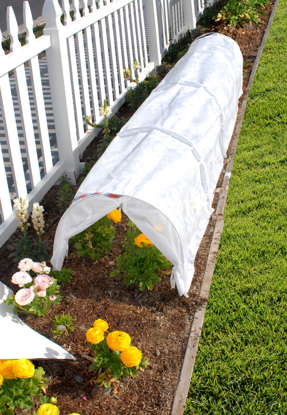 NuVue Products 24120 Winter-Plant-Protect - View #2