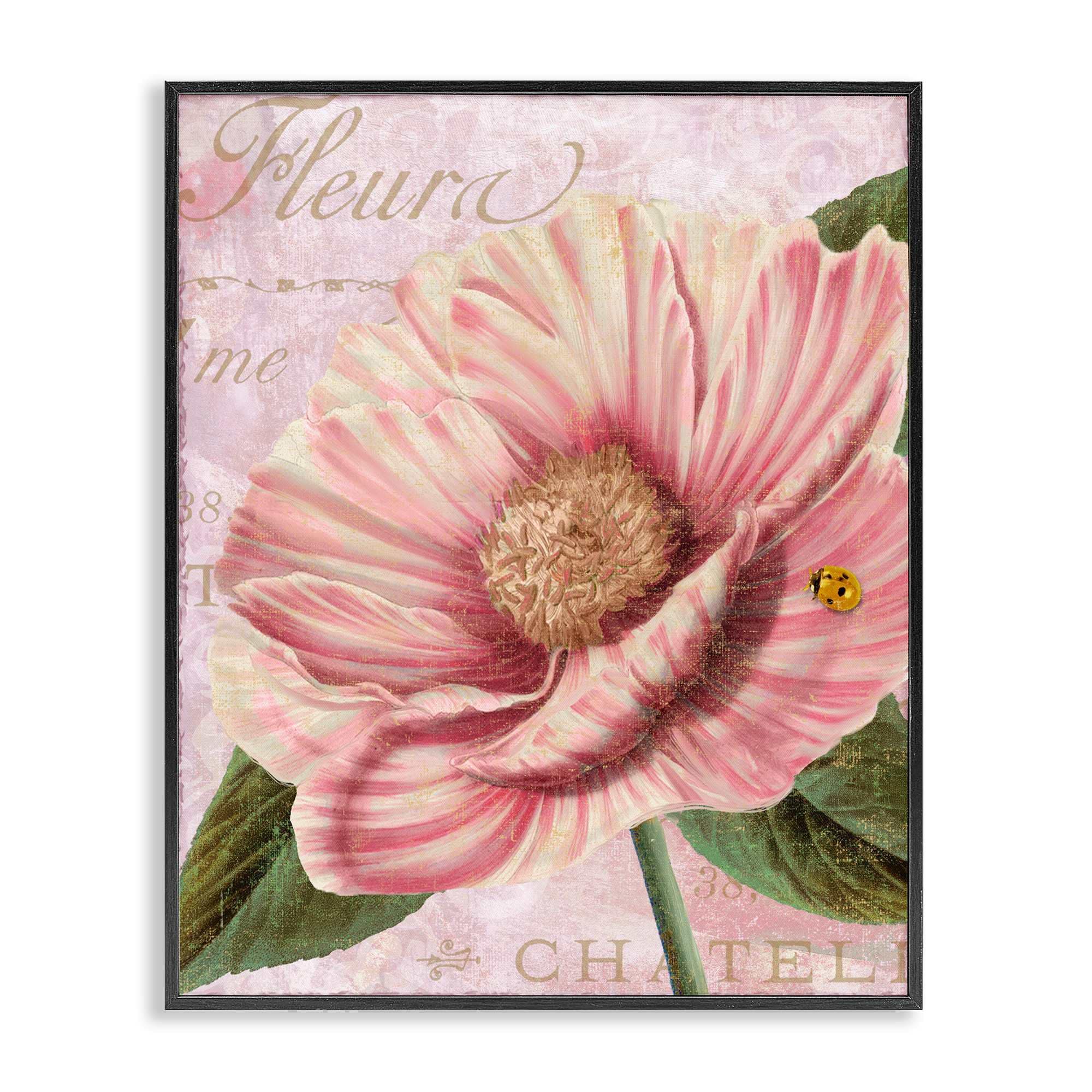 Stupell Industries BT-004-FR-24X30 French Flower and Ladybug Black Framed Giclee Art By Sasha 24 x 30