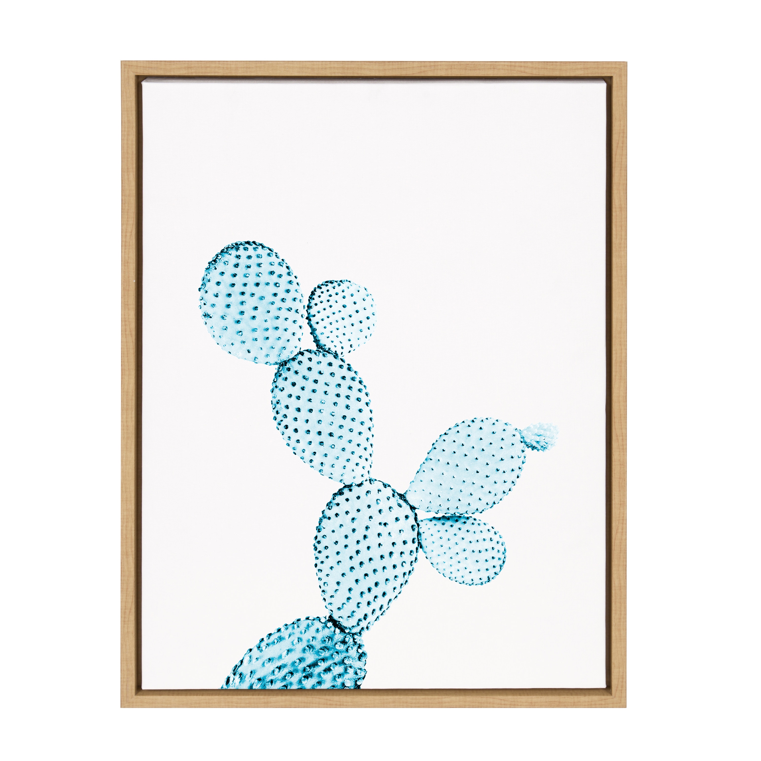 Kate and Laurel 215835 Blue Cactus Tai Prints Brown Framed 24-in H x 18-in W Botanical Print on Canvas