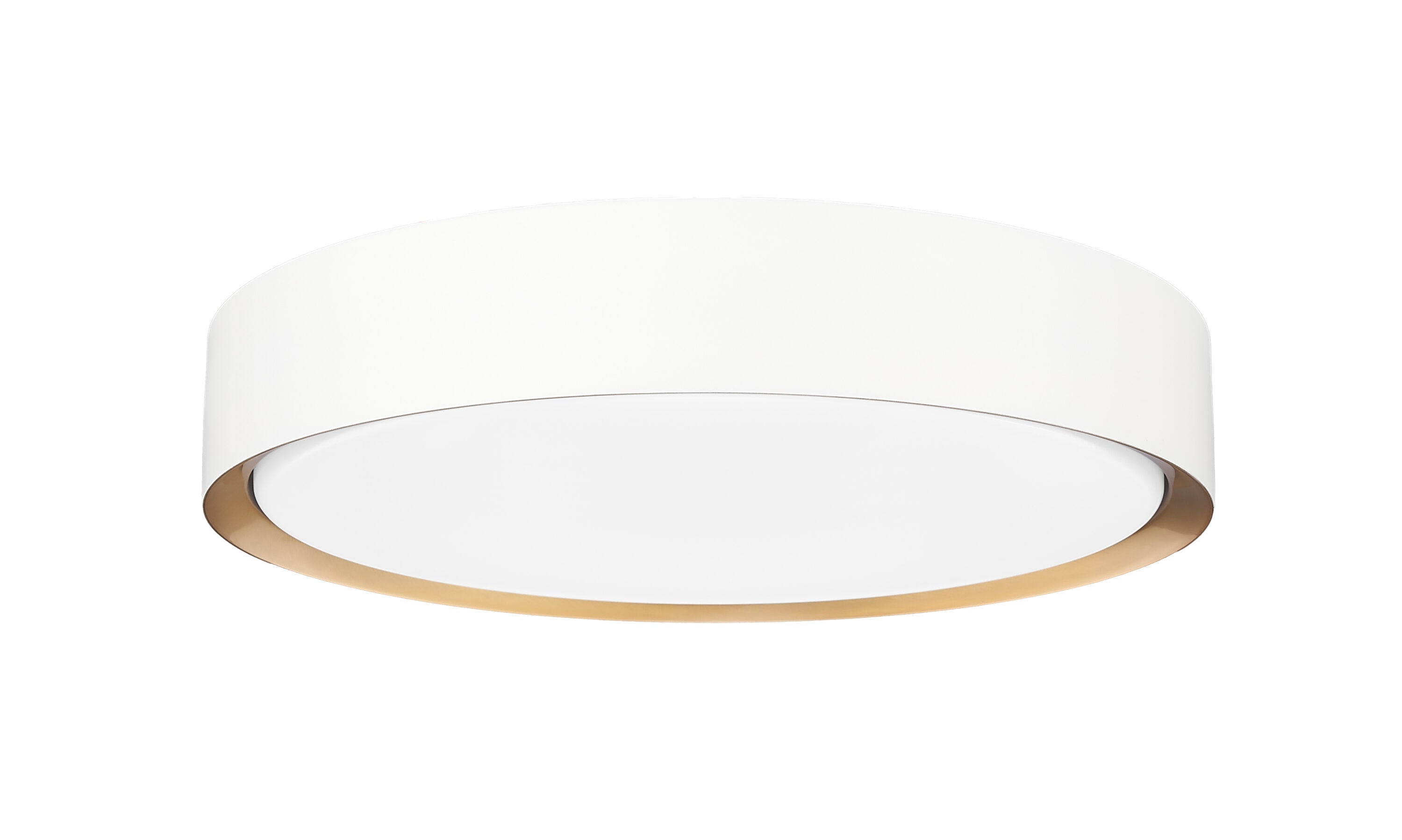 Z-Lite 1014F16-MW-MGLD-LED flushmounts - View #7