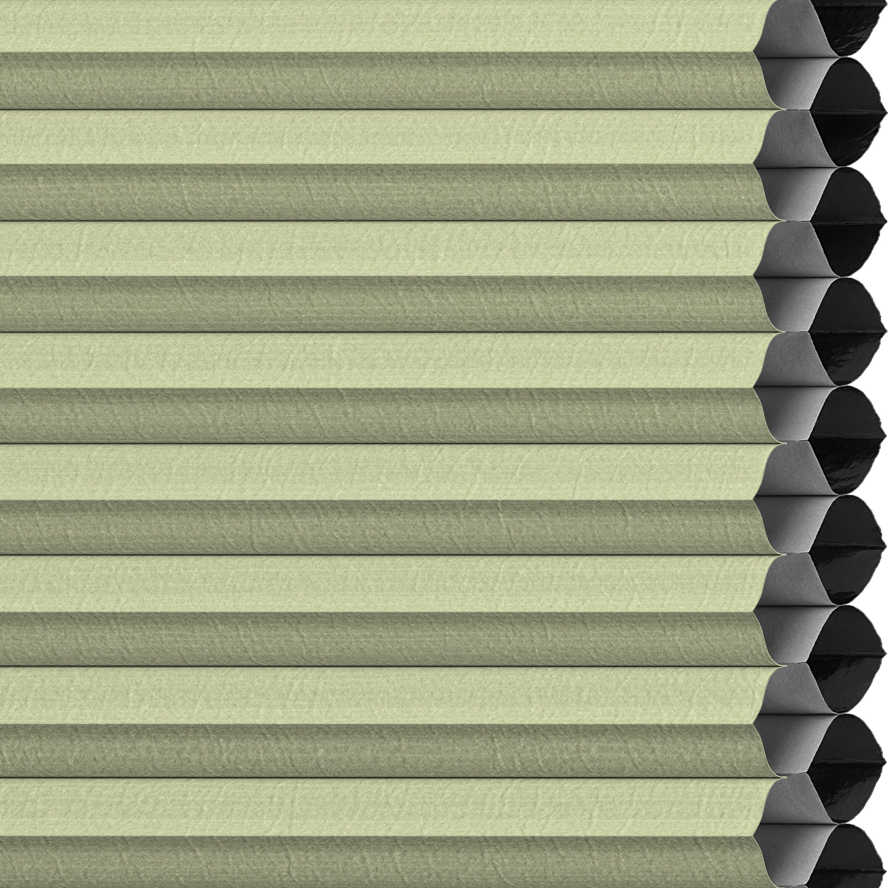 LEVOLOR 511531 Designer Colors Green Tea Blackout Polyester 1/2-in Double Cellular shade swatch