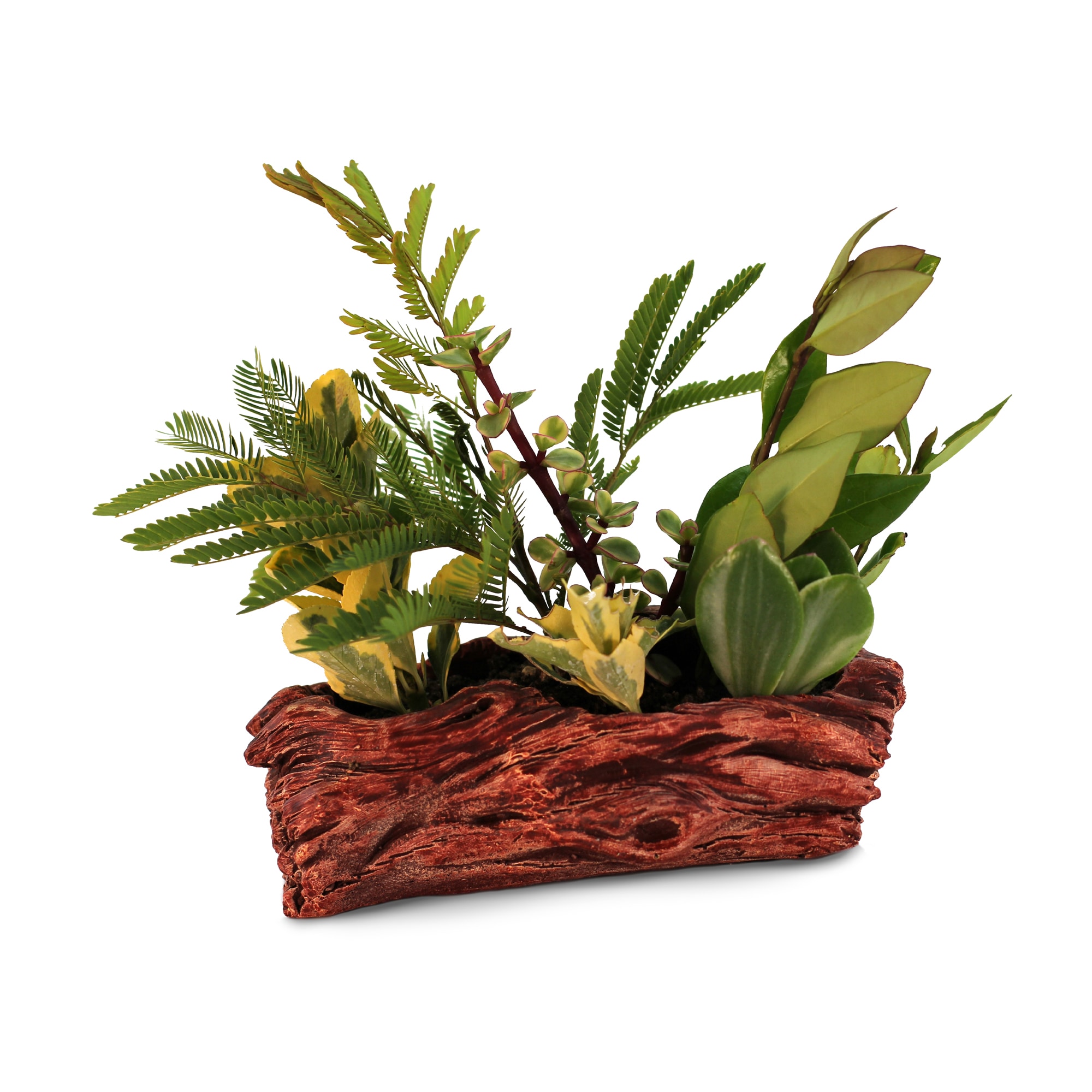 Yard Elements 03-1207 Rectangle 2.5-in W Small Red Cement Indoor/Outdoor Planter with Drainage Holes