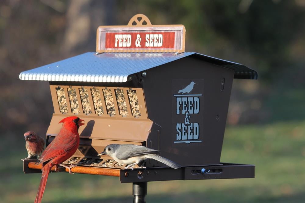 Woodlink 24637 Bird-Feeders - View #7