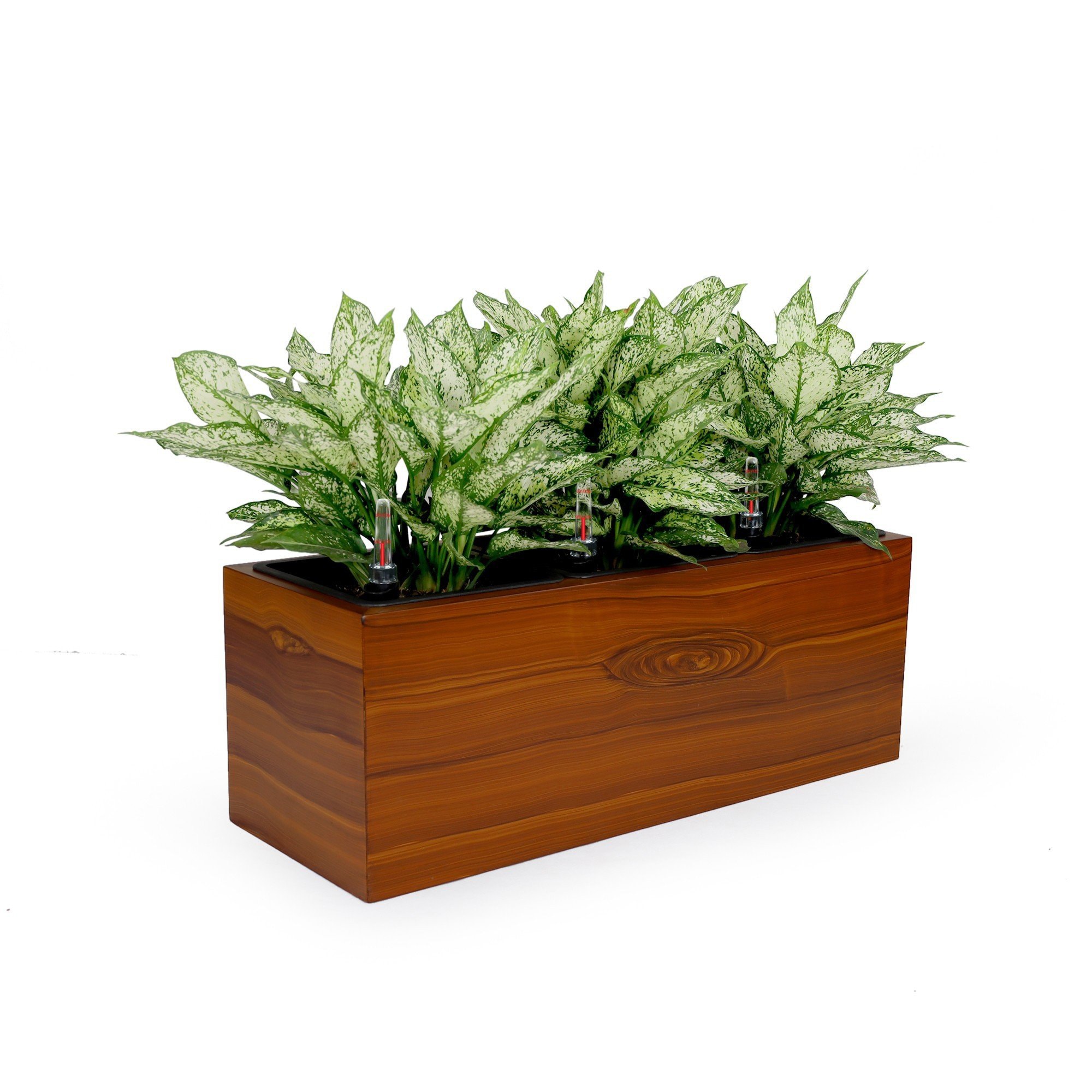 Kahomvis DTY-QPB0-675 Planter-Window-Box - View #4