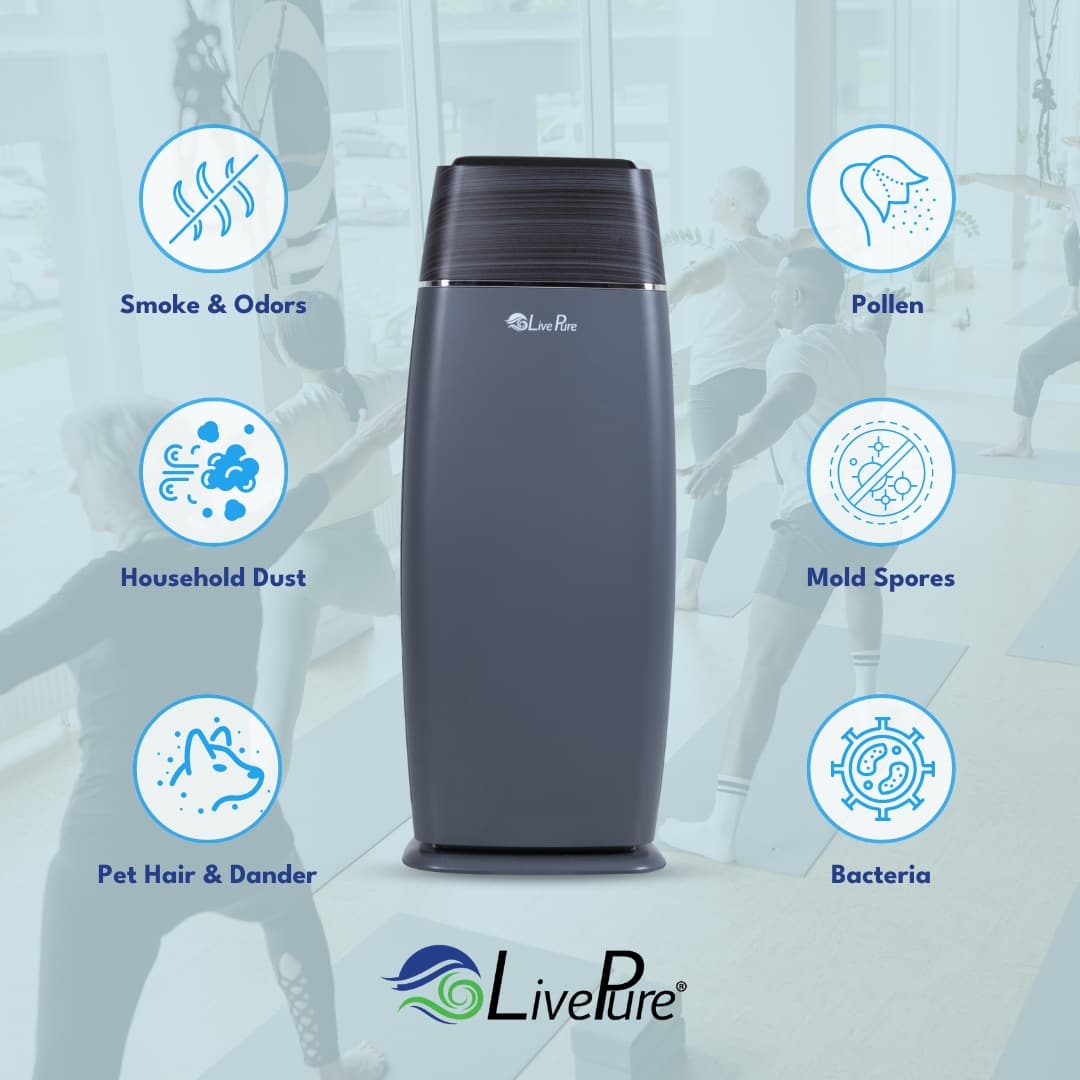 LivePure LP260TH-G m018095 - View #8