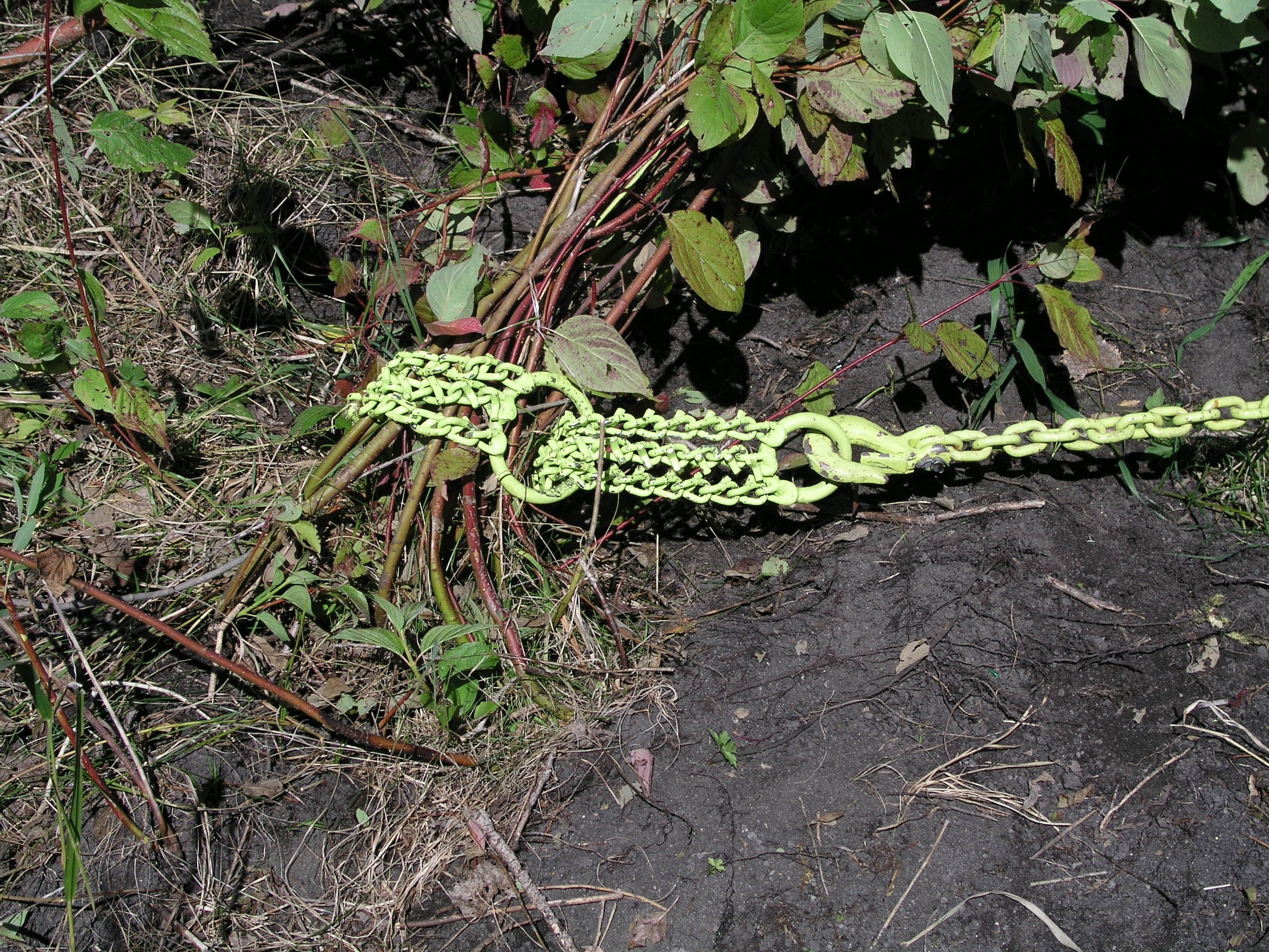 Heavy Duty Green Steel Triple Chain Shrub and Clump Remover