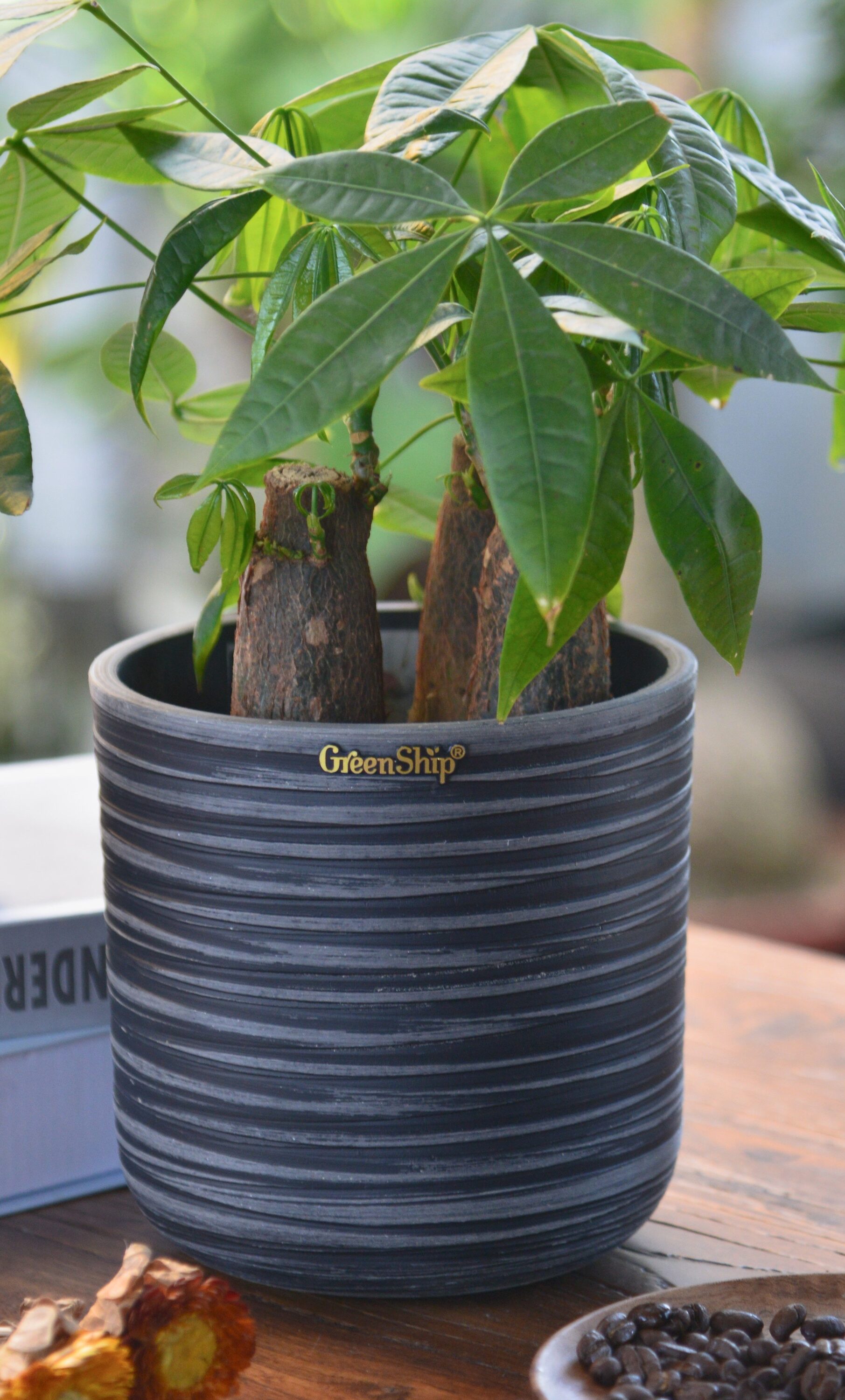 Greenship K2-21G25G Planter-Window-Box - View #2