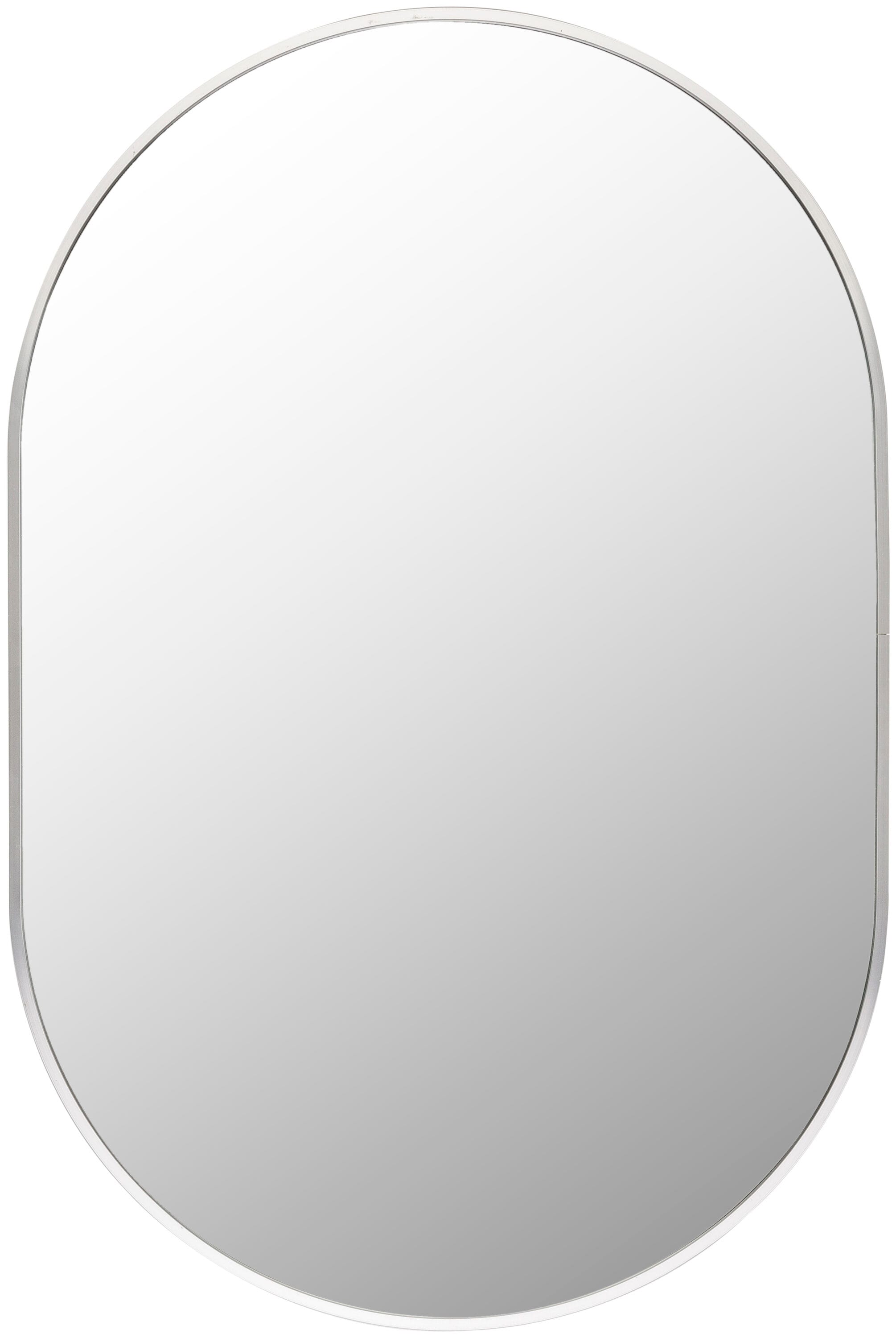 Livabliss RAY017-2030 Aranya 20-in W x 30.0-in H Oval Silver Framed Wall Mirror