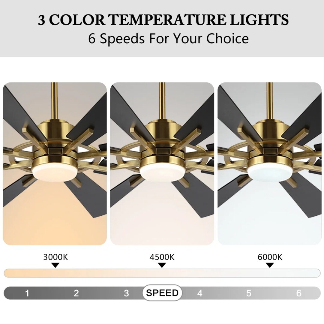 MLIAN WBCF-BS221-BK Ceiling-Fans - View #5