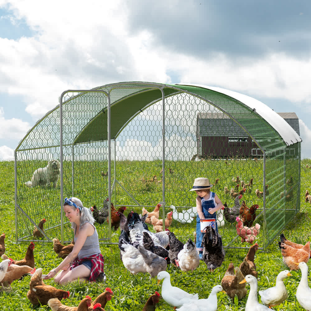 Qeetex WLS-PHO-159PP50I Chicken-Coops-Rabbit-Hutches - View #7