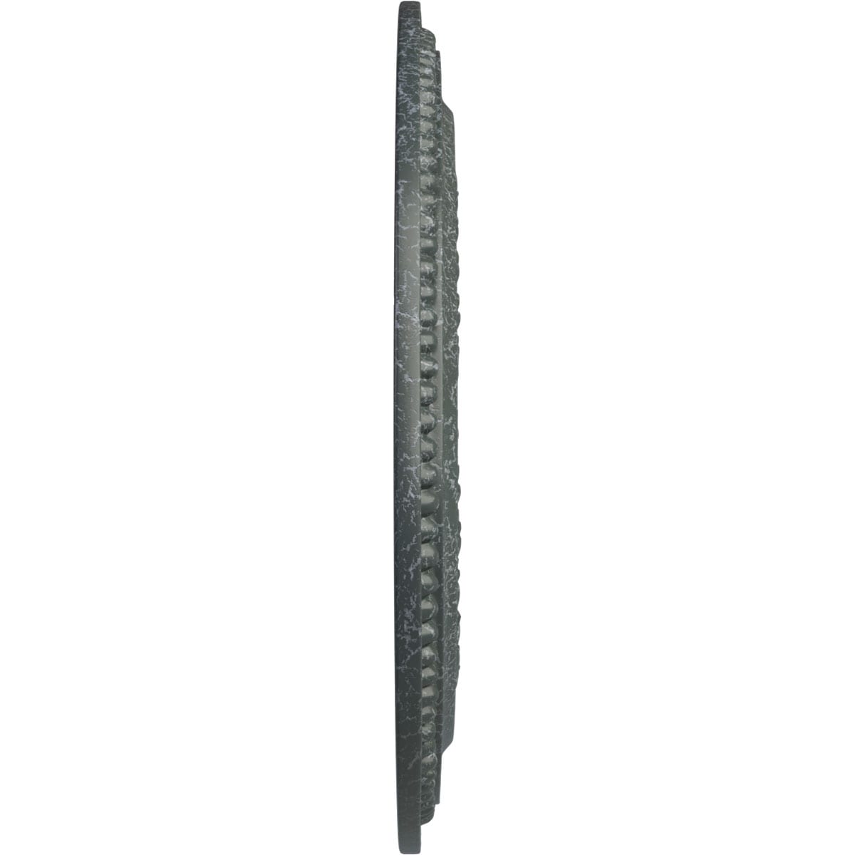 Ekena Millwork CM18OL1AGC Ceiling-Medallions - View #3