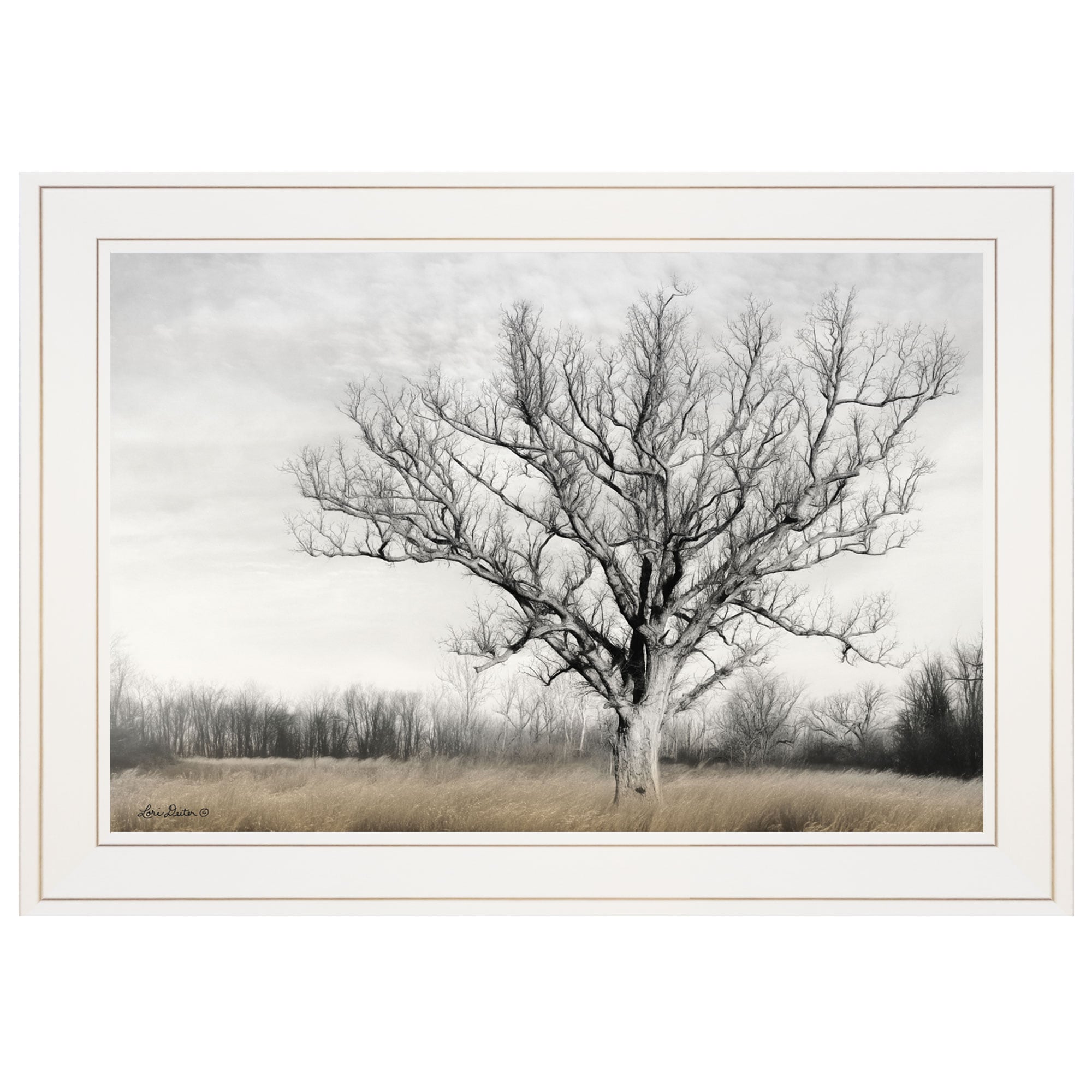 Trendy Decor 4U Earth and Sky Lori Deiter Gray Wood Framed 15-in H x 21 ...