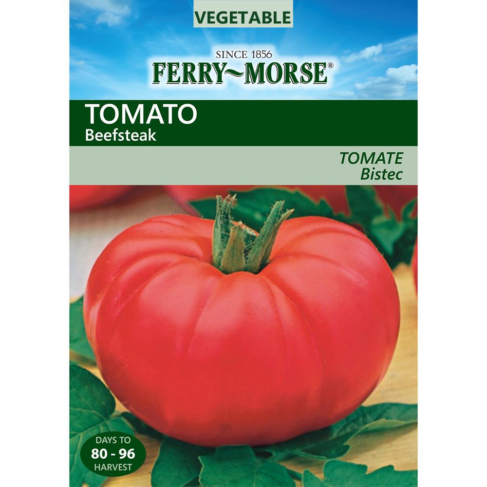 Ferry-Morse 500 Milli-Gram Tomato Beefstake (L0000) at