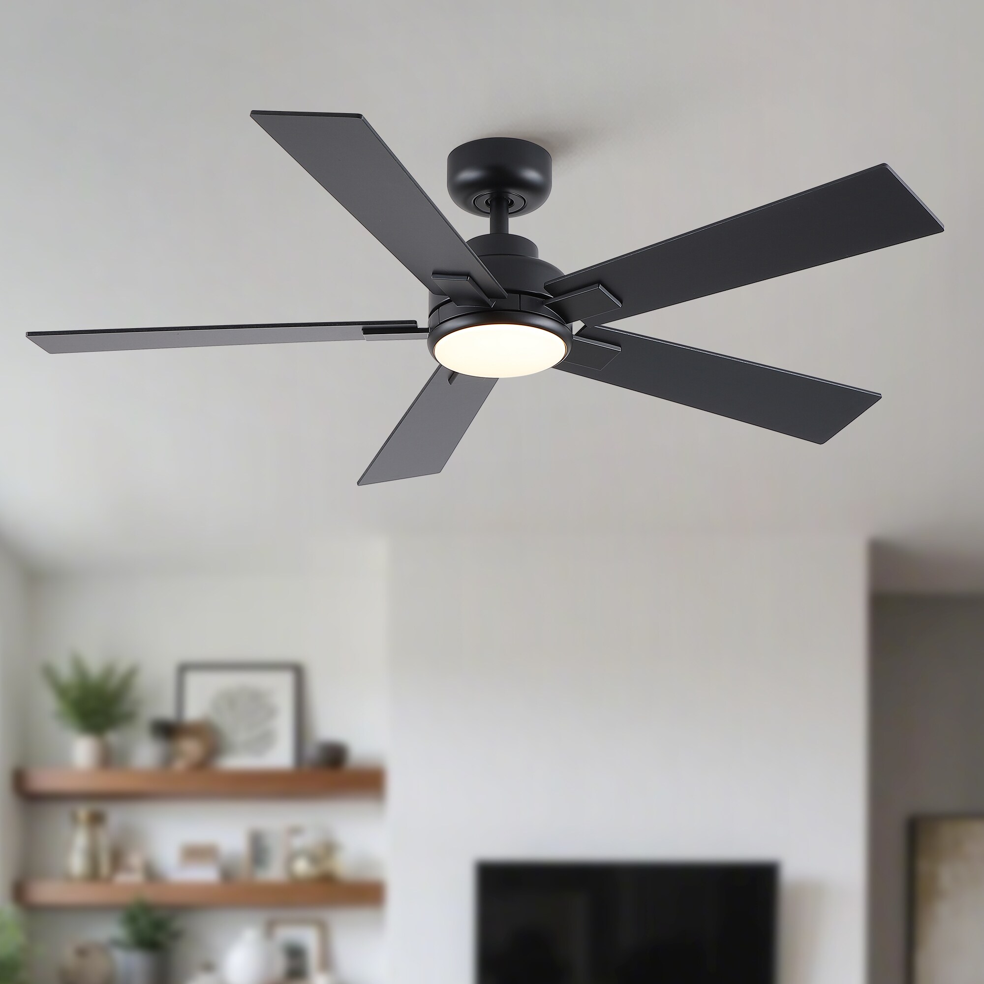 Cuschoice MDHK1-12-CF Ceiling-Fans - View #13