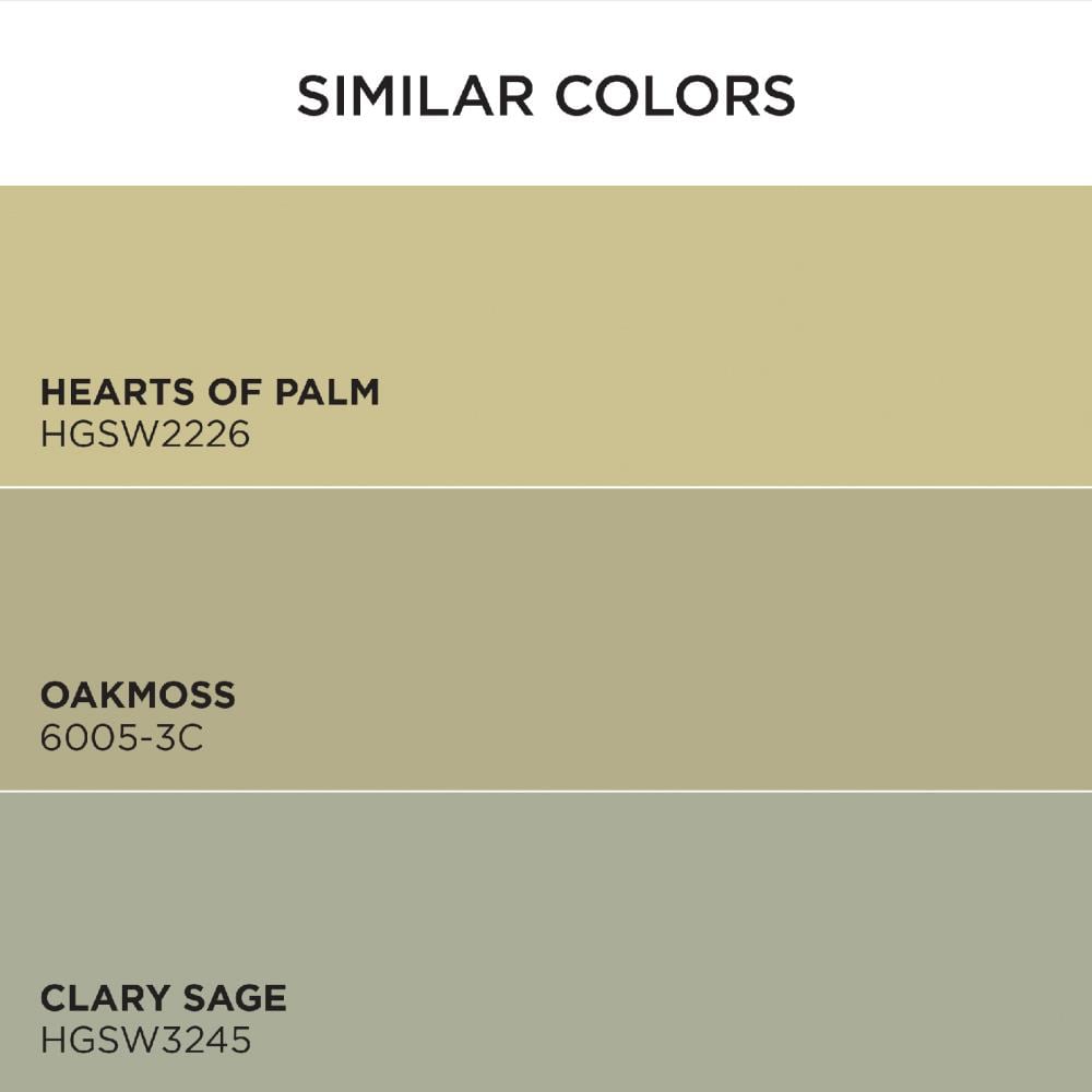 Hgtv Home By Sherwin Williams Ovation Plus Eggshell Bamboo Shoot Hgsw7733 Latex Interior Paint