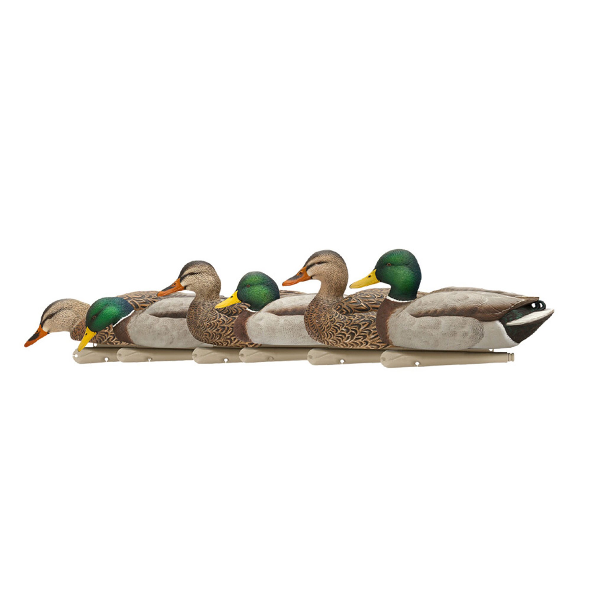 Avian X 408597 Hunting-Equipment - View #9