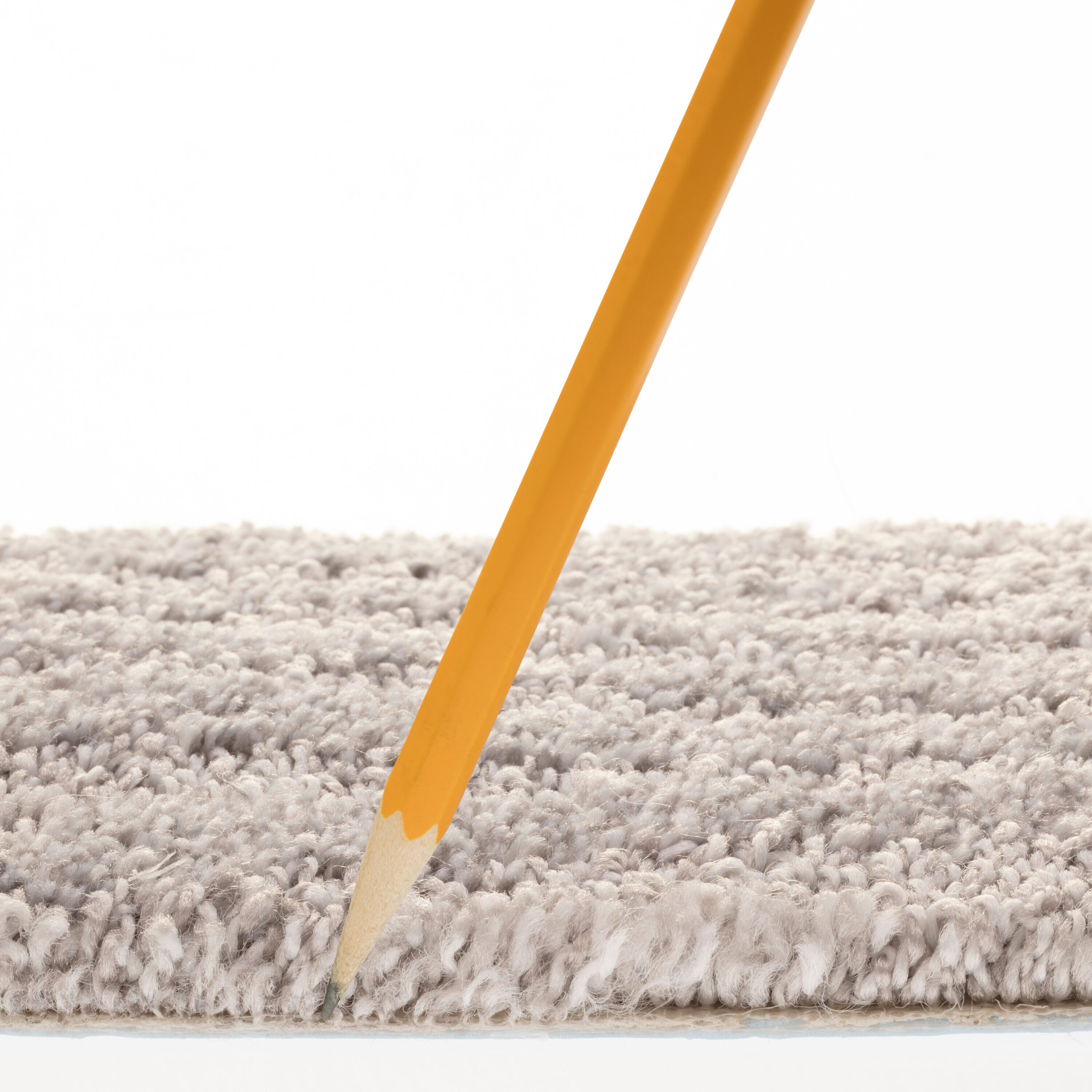 STAINMASTER 7L889 - 500 - SAMP Carpet-Samples - View #7